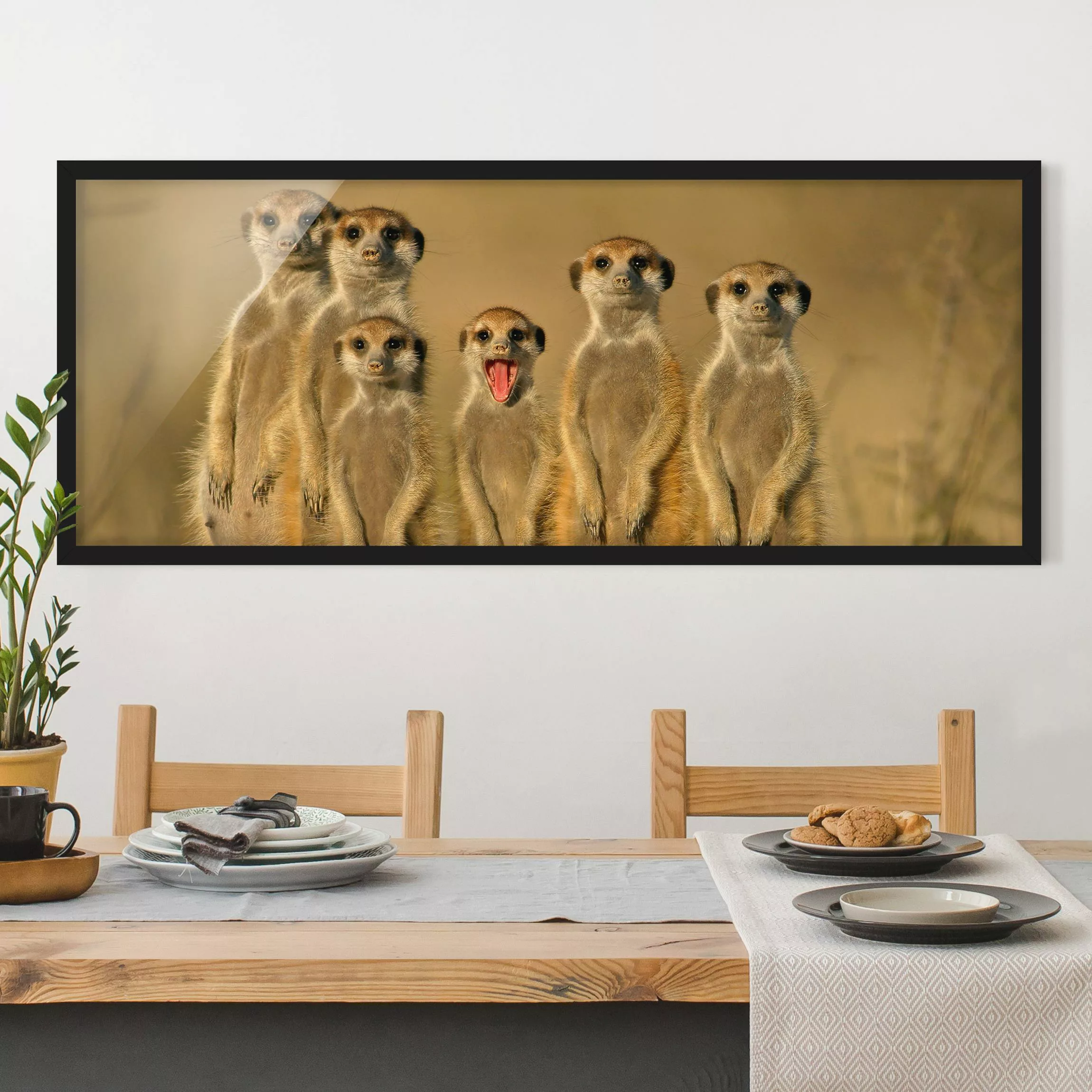 Bild mit Rahmen Tiere - Panorama Meerkat Family günstig online kaufen