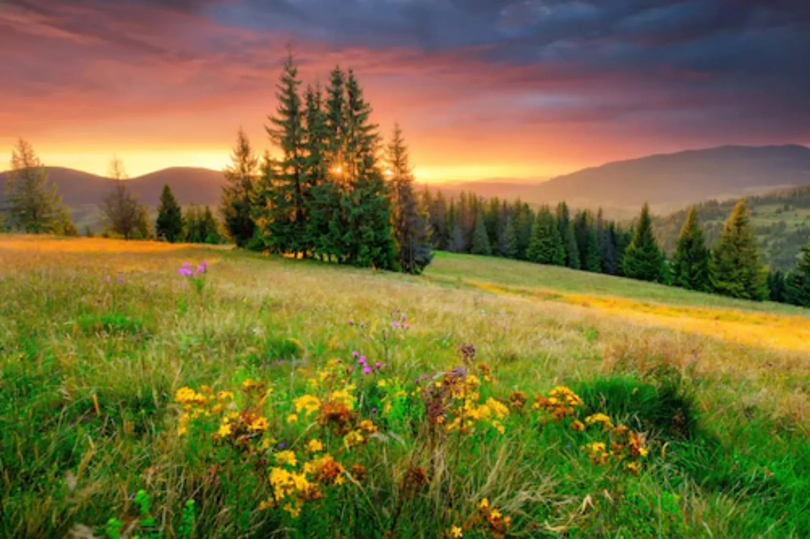 Papermoon Fototapete »BLUMEN-WIESE-GEBIRGE NATUR NEBEL GRÜN SONNE BERG HIMM günstig online kaufen