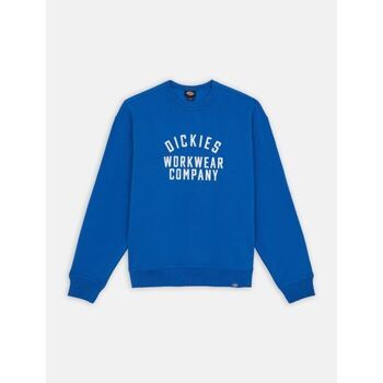 Dickies  Sweatshirt GRAPHIC HOODIE 3 - DK0A85ST-J531 TURKISH SEA günstig online kaufen