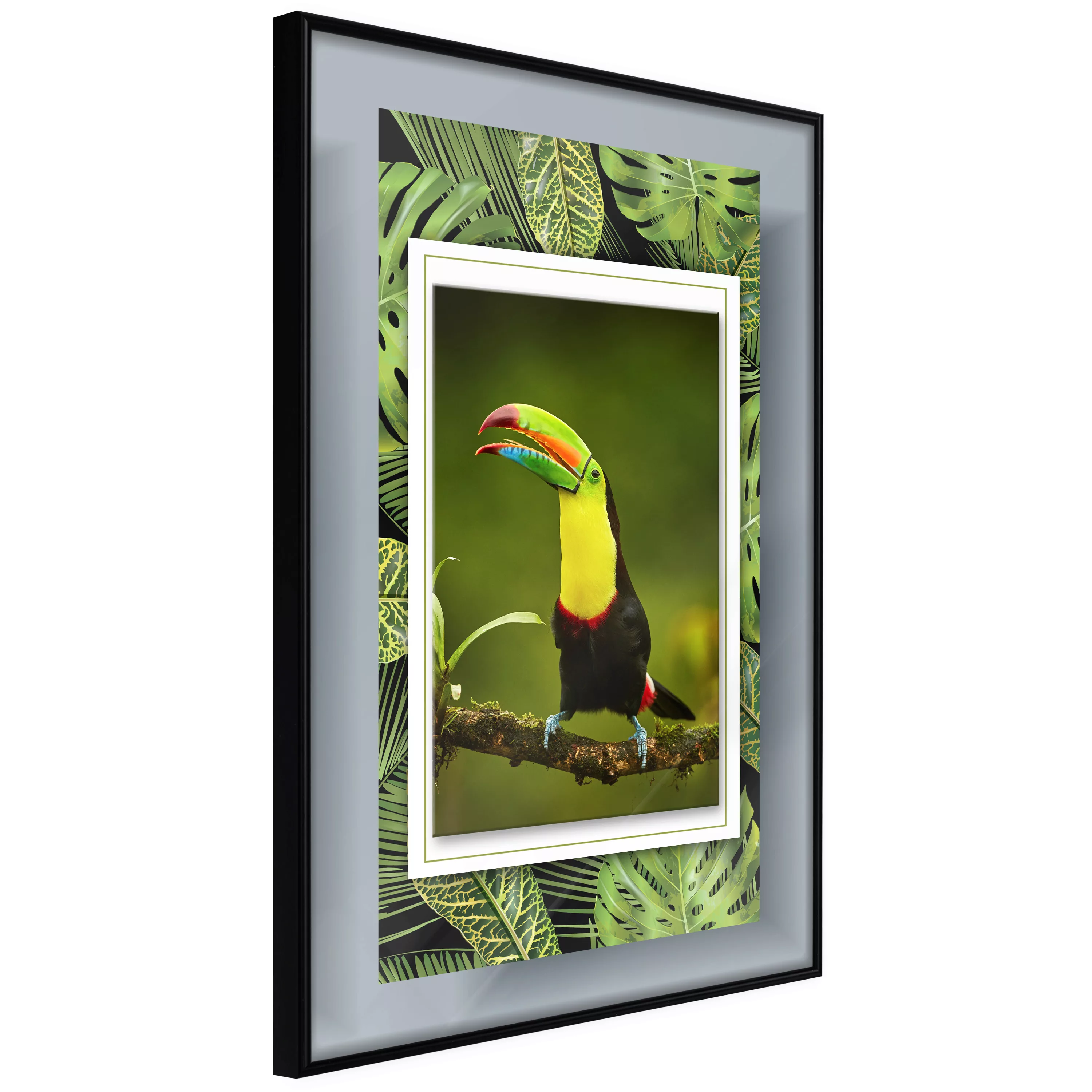 Poster - Toucan In The Frame günstig online kaufen