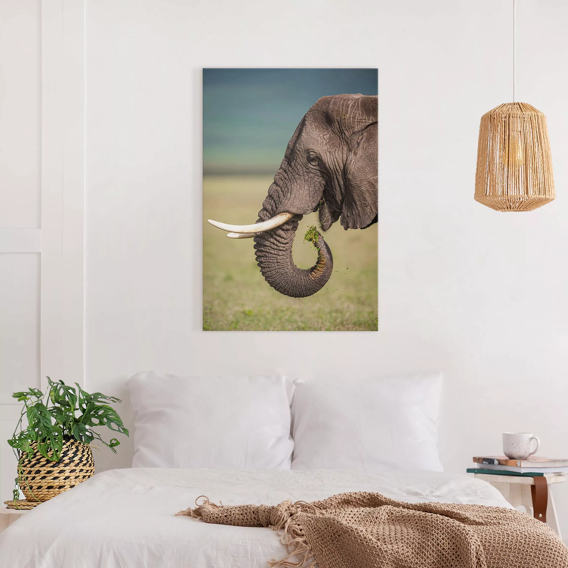 Leinwandbild Elefant - Querformat Elefantenfütterung Afrika günstig online kaufen