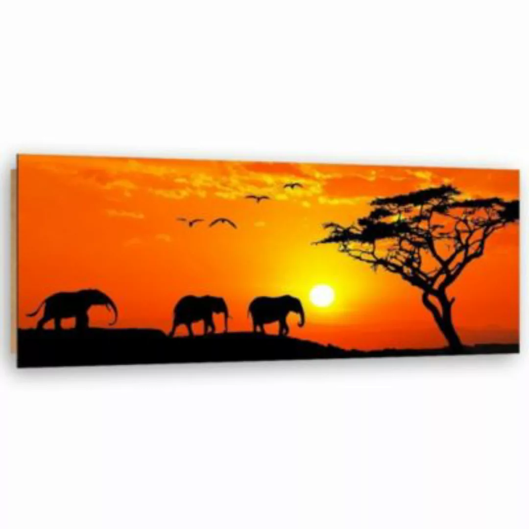 FEEBY® Kunst Orange Afrika Leinwandbilder bunt Gr. 120 x 40 günstig online kaufen