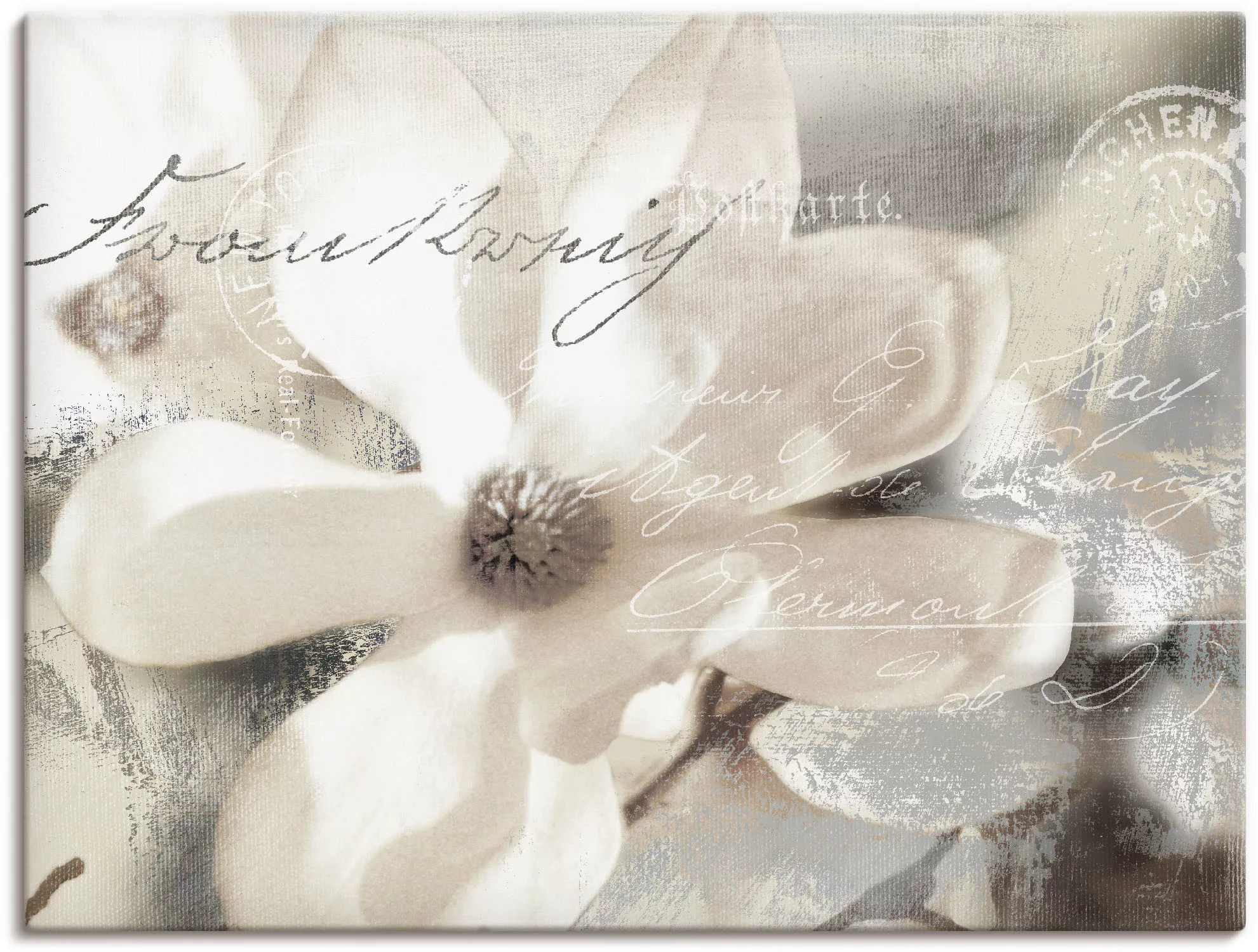 Artland Wandbild "Magnolie Detail", Blumenbilder, (1 St.), als Alubild, Out günstig online kaufen