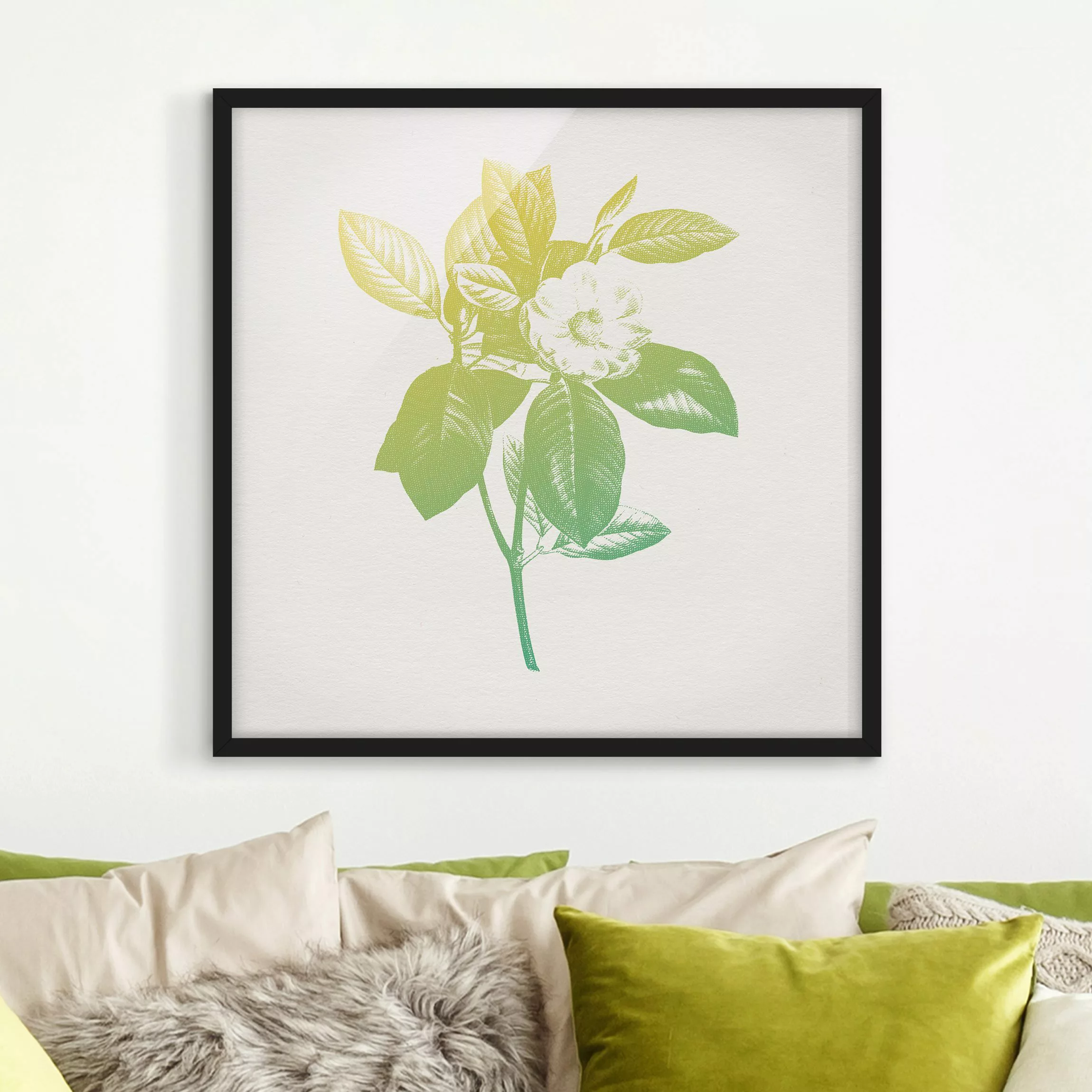 Bild mit Rahmen Blumen - Quadrat Modern Vintage Botanik Kirschblüte Grün Ge günstig online kaufen