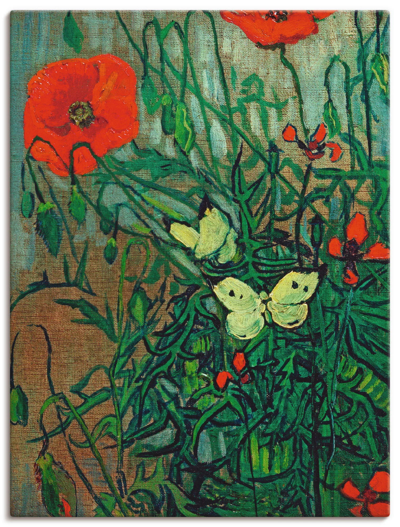 Artland Leinwandbild "Schmetterlinge auf Mohnblüten", Blumen, (1 St.), auf günstig online kaufen