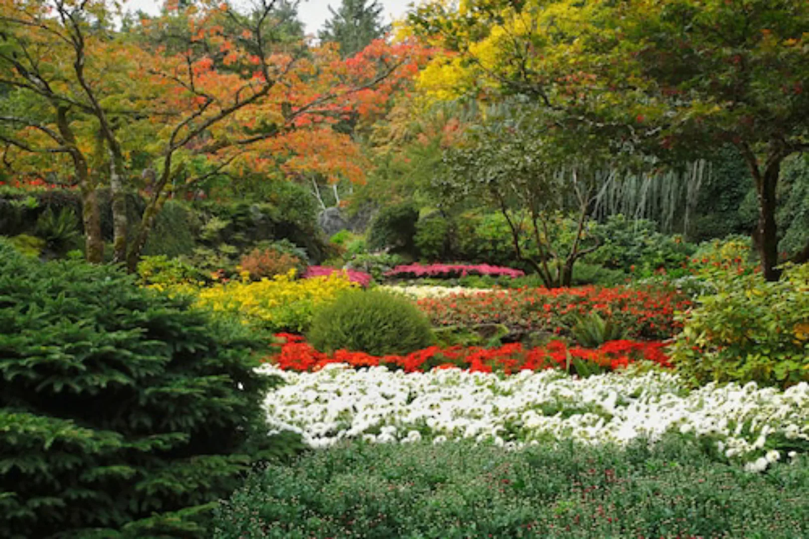 Papermoon Fototapete »Blumen Garten« günstig online kaufen