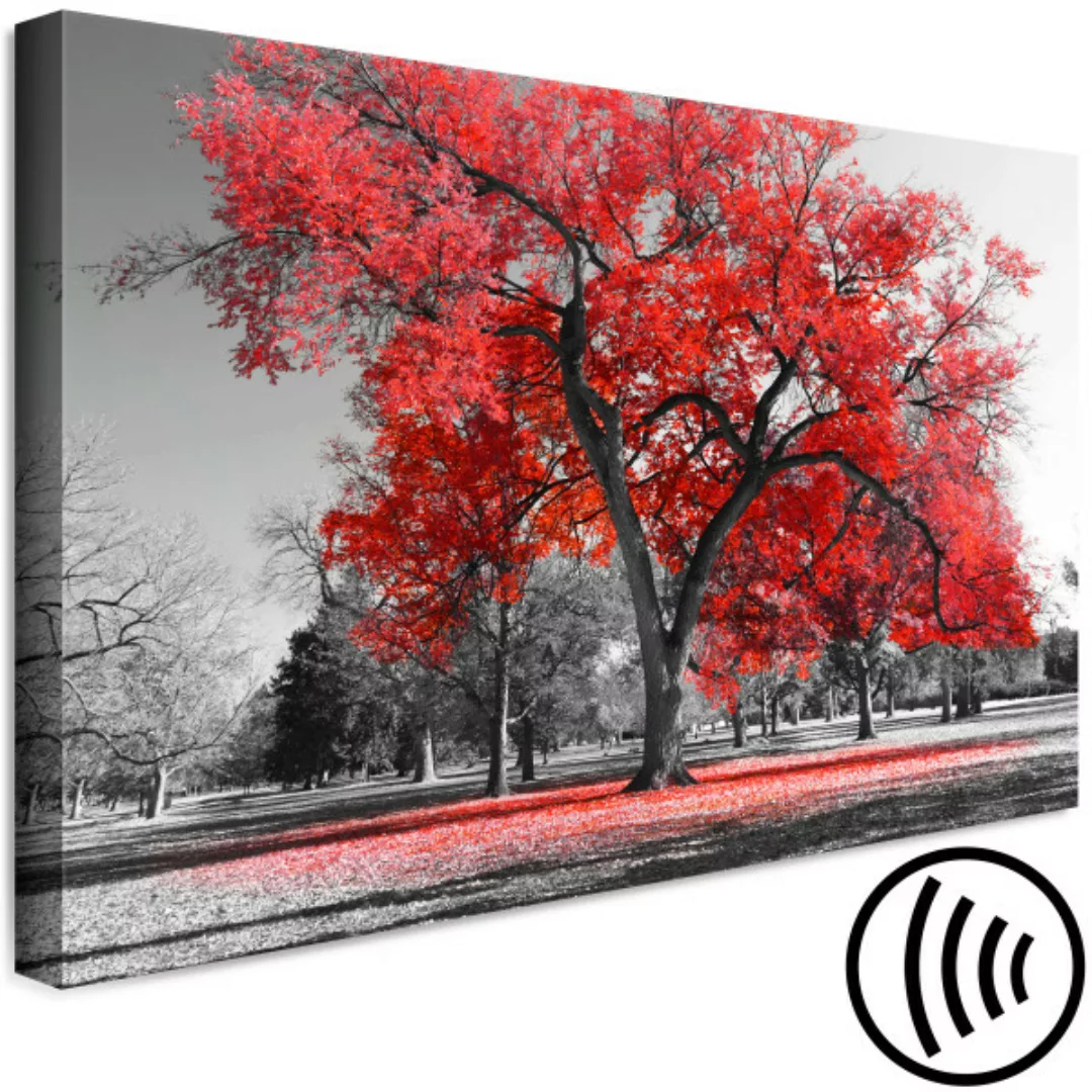 Leinwandbild Autumn in the Park (1 Part) Wide Red XXL günstig online kaufen