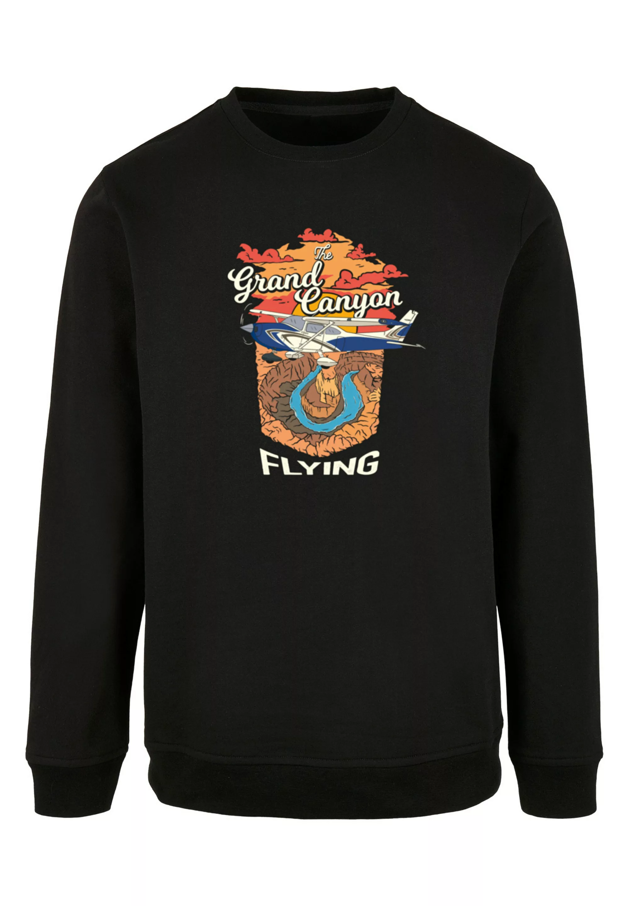 F4NT4STIC Kapuzenpullover "Grand Canyon Flying" günstig online kaufen