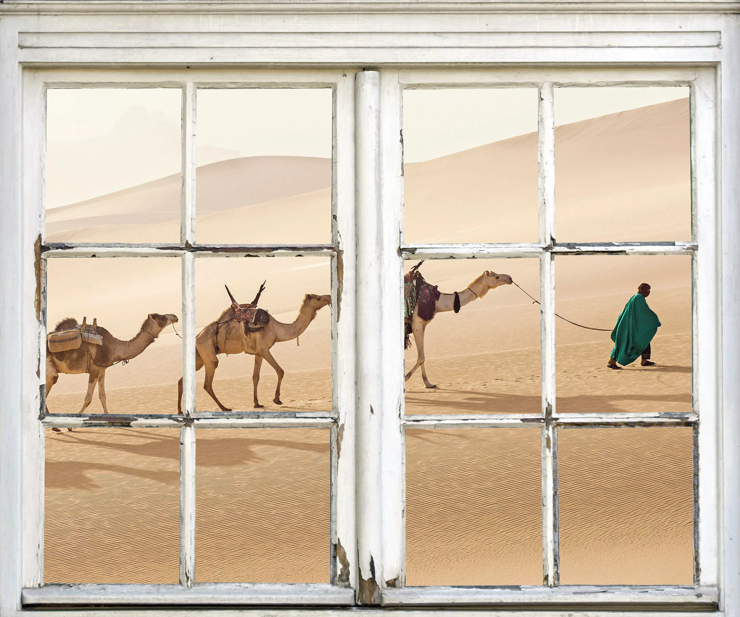 queence Wandsticker "Kamele in Wüste" günstig online kaufen