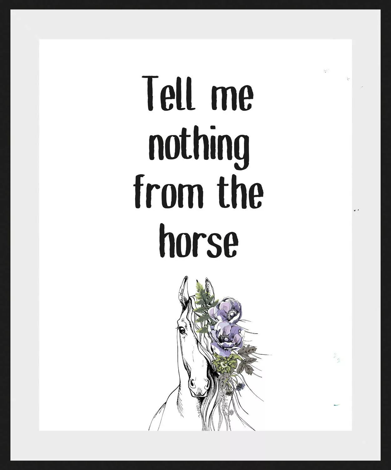 queence Bild "Tell me nothing from the horse", Schriftzug-Humor-Sprüche & T günstig online kaufen