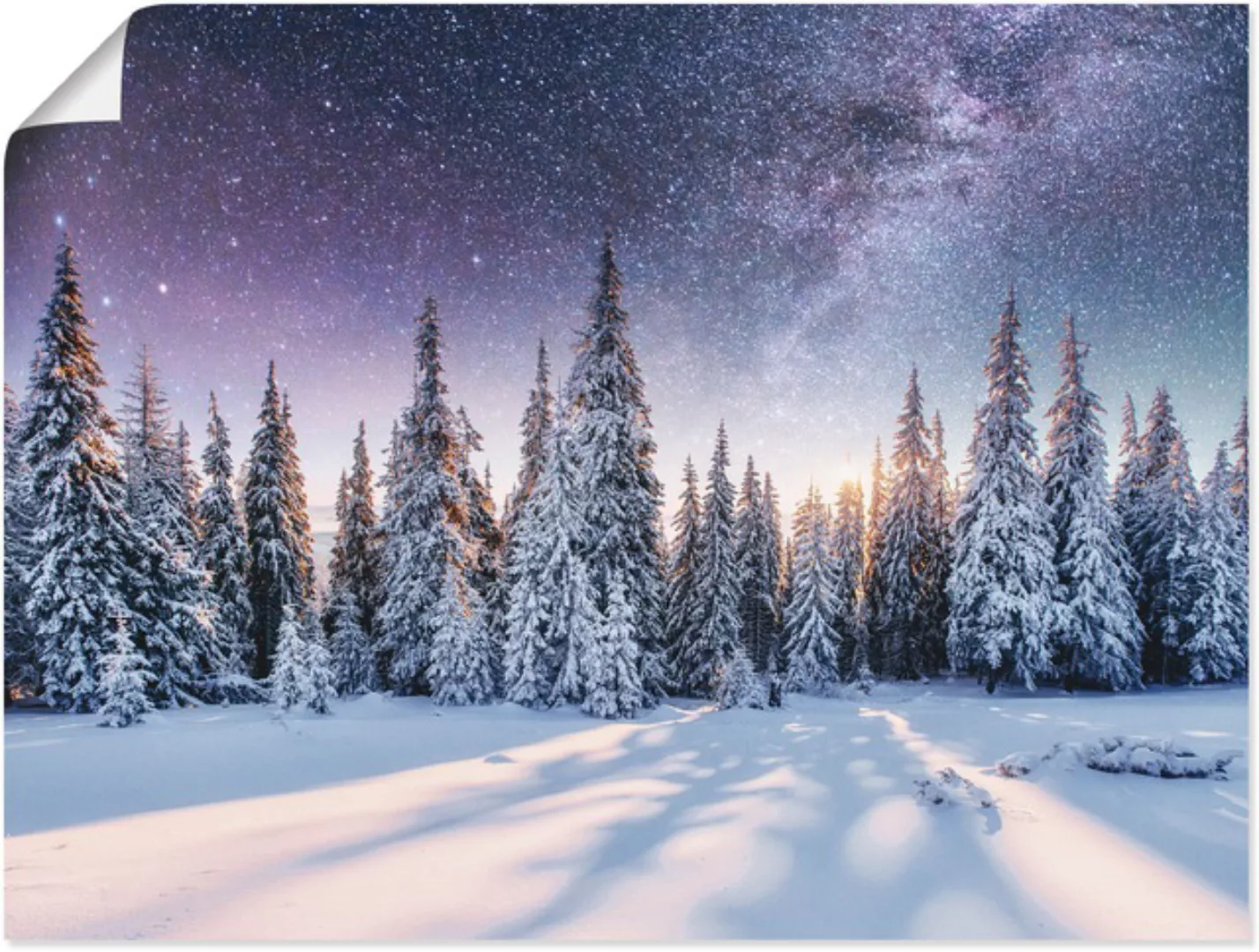 Artland Wandbild »Tannenwald im Schnee vorm Sternenhimmel«, Berge & Alpenbi günstig online kaufen