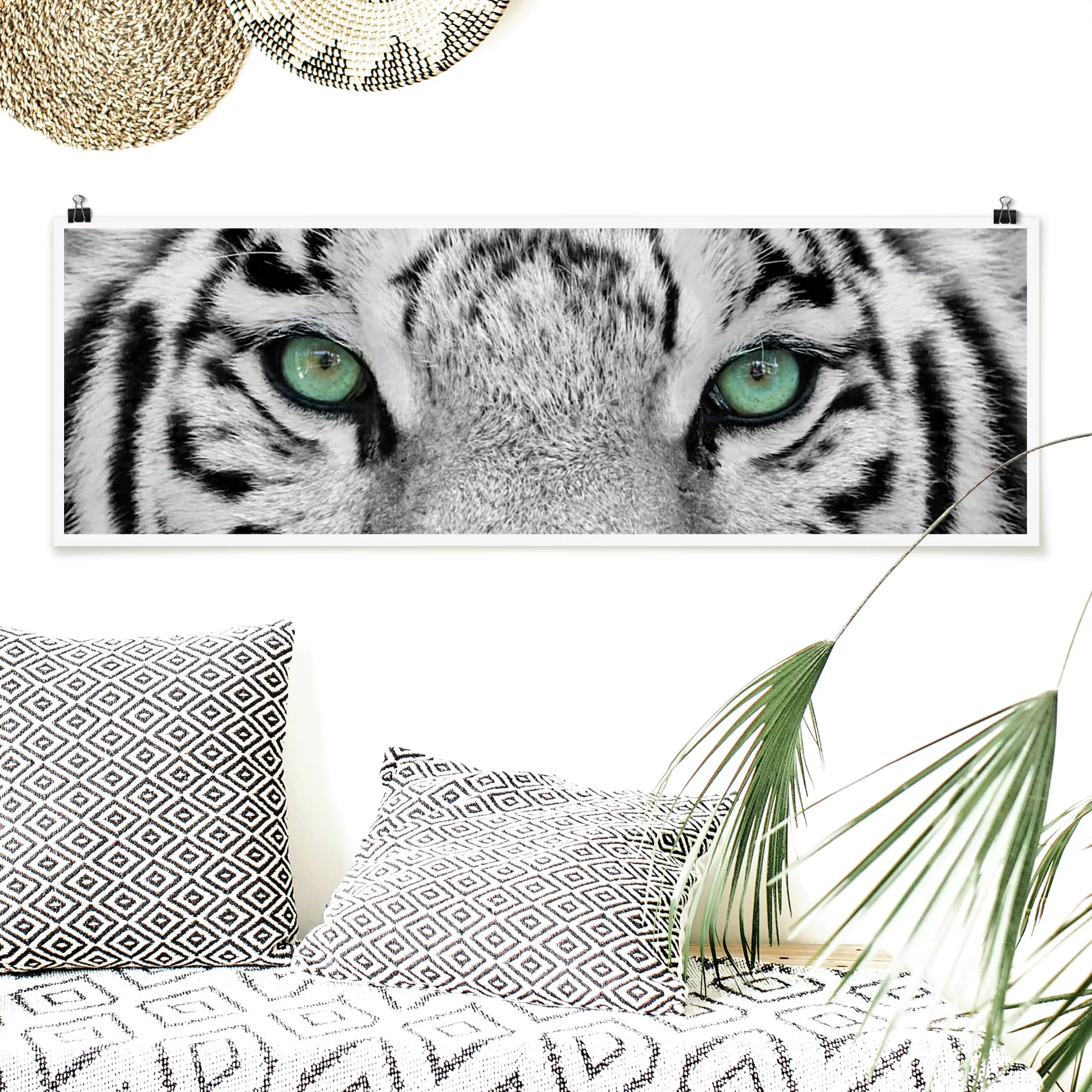 Panorama Poster Tiere Weißer Tiger günstig online kaufen
