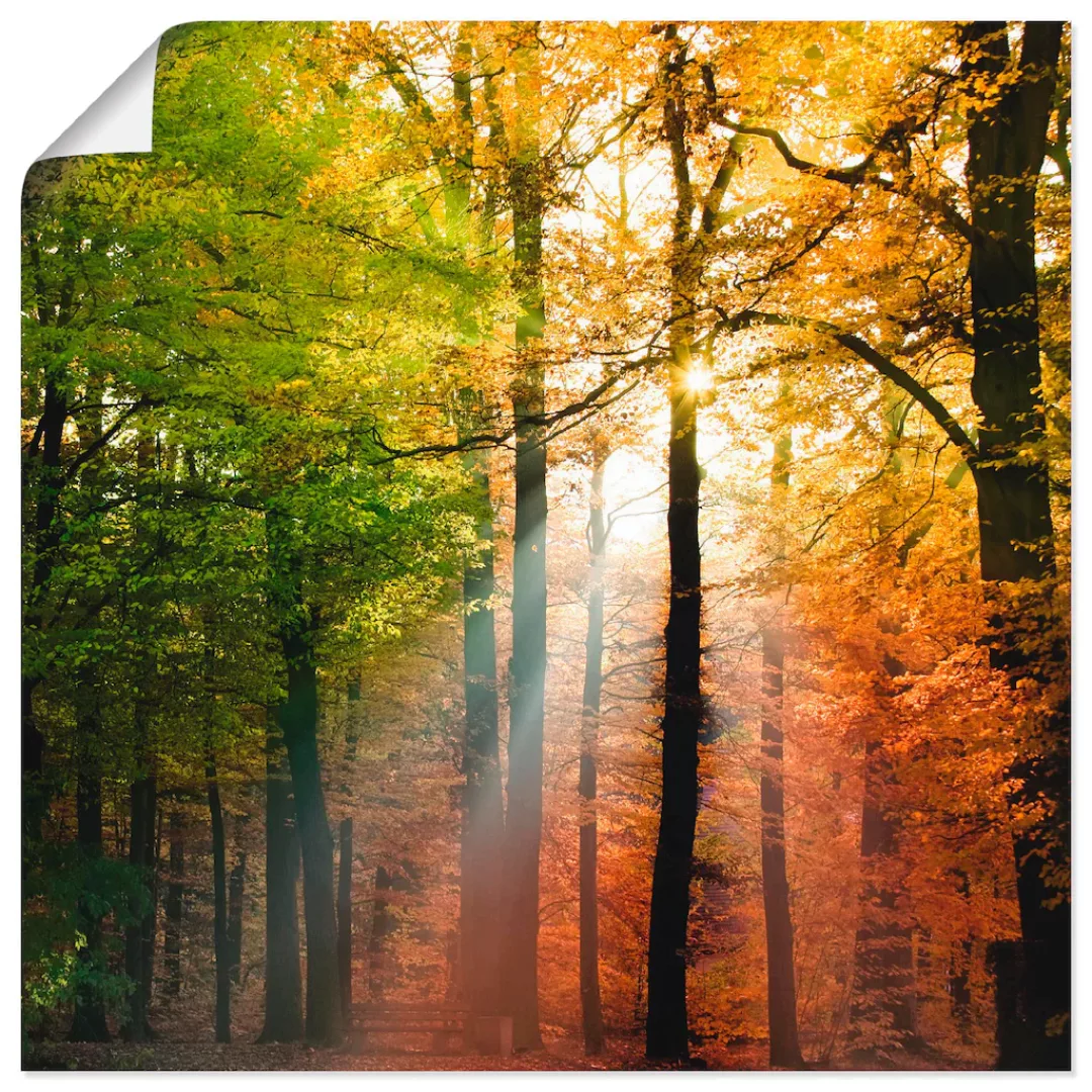 Artland Wandbild »Schöner Herbsttag 2«, Wald, (1 St.) günstig online kaufen