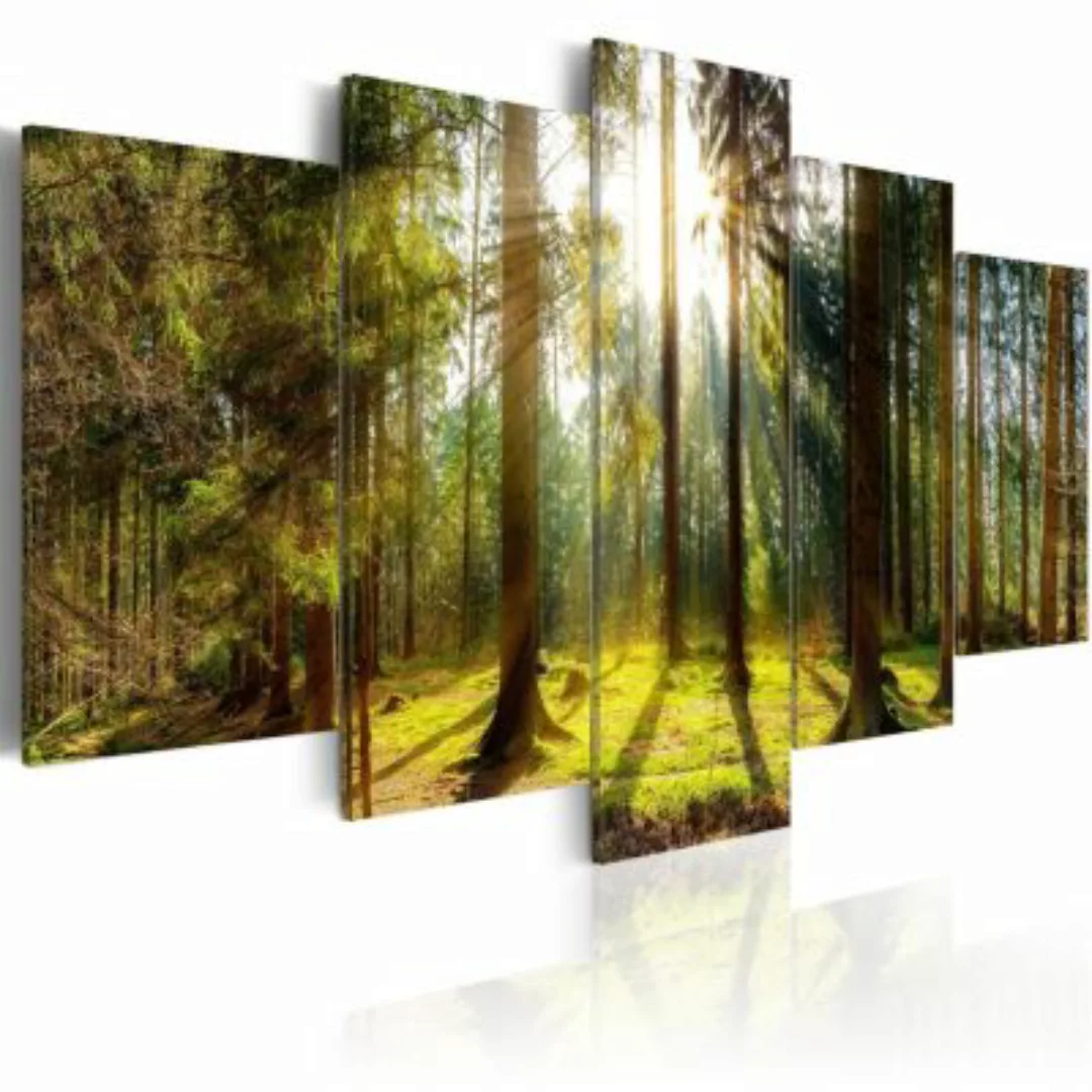 artgeist Wandbild Morning Awakening mehrfarbig Gr. 200 x 100 günstig online kaufen