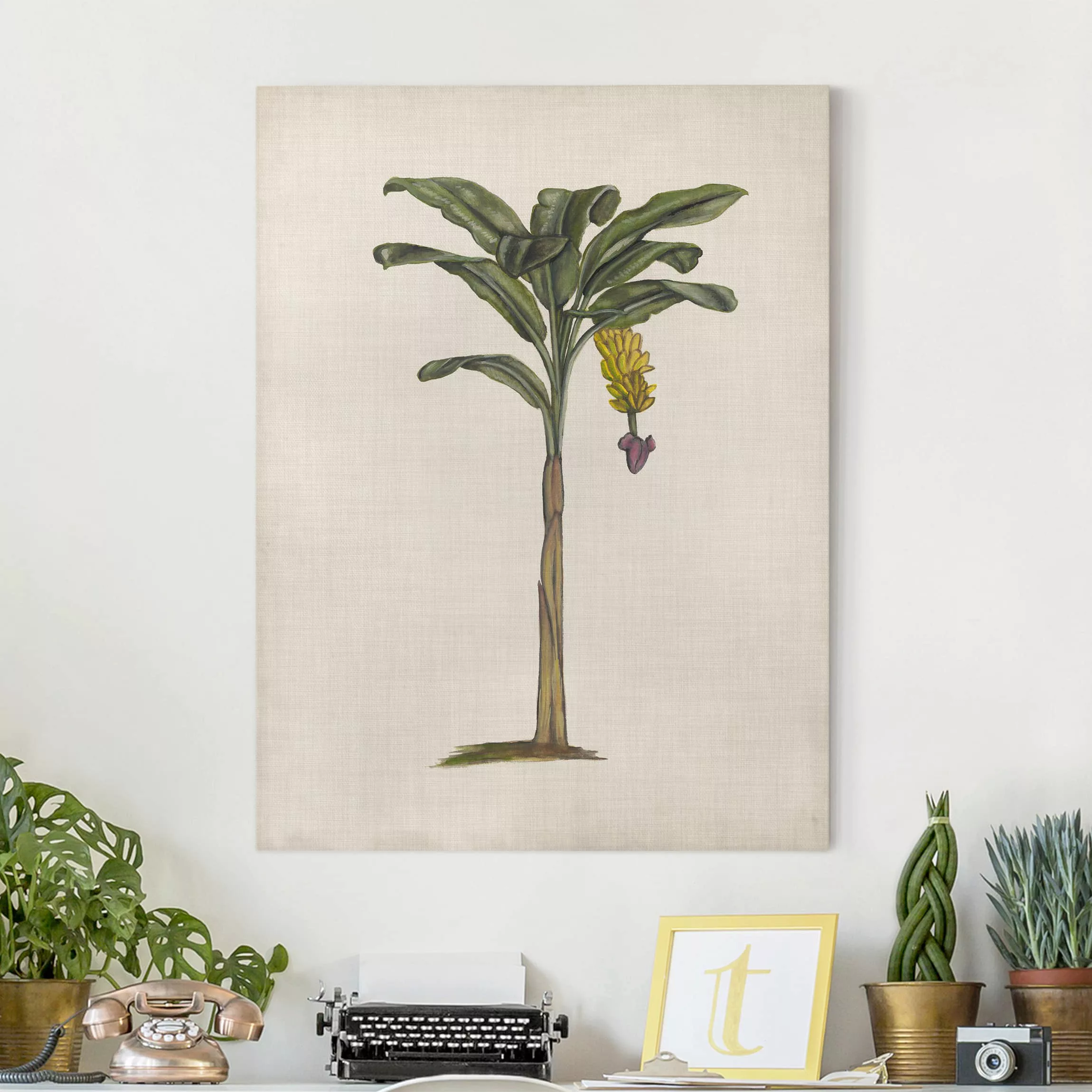 Leinwandbild Botanik - Hochformat Britische Palmen III günstig online kaufen