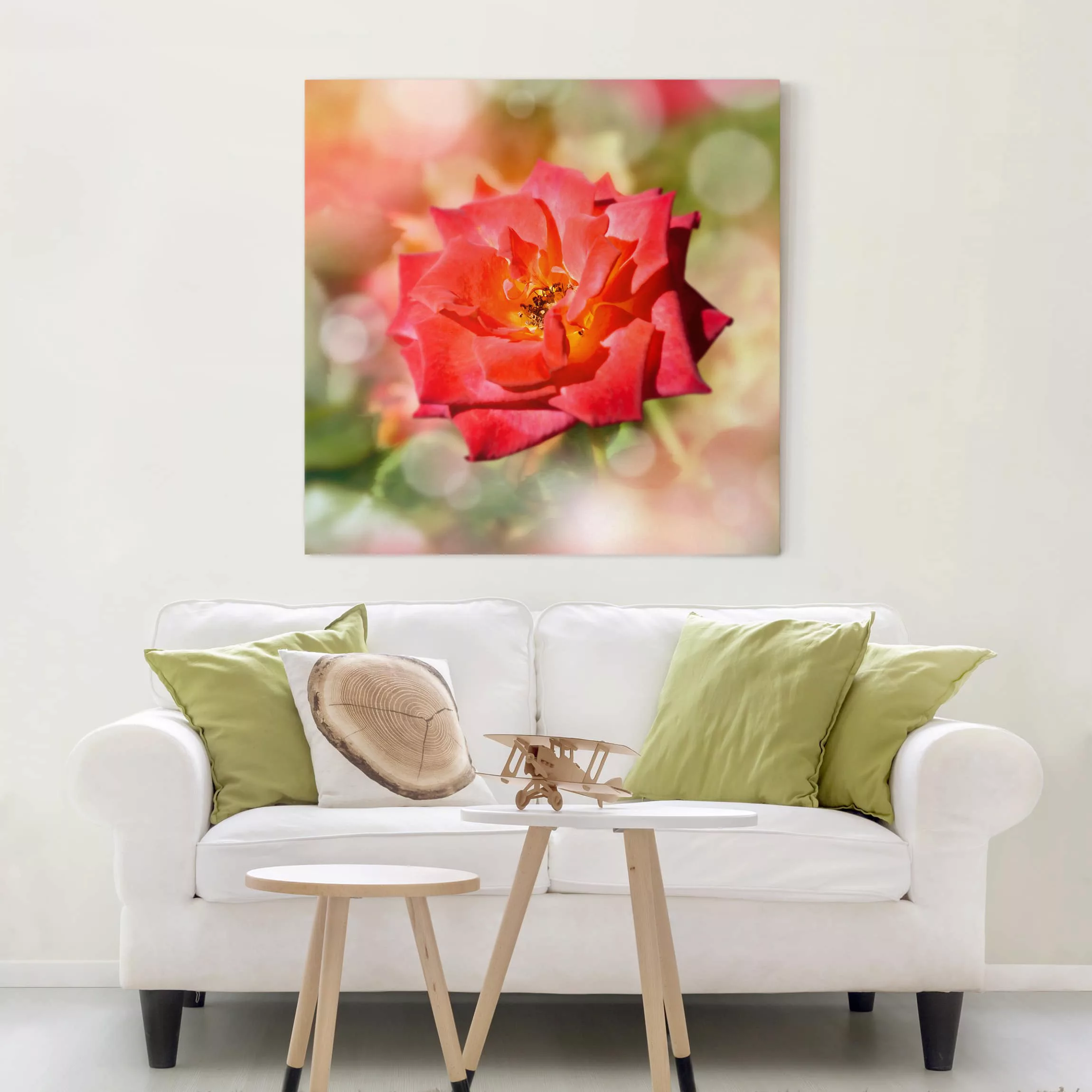 Leinwandbild Blumen - Quadrat Shining Rose günstig online kaufen