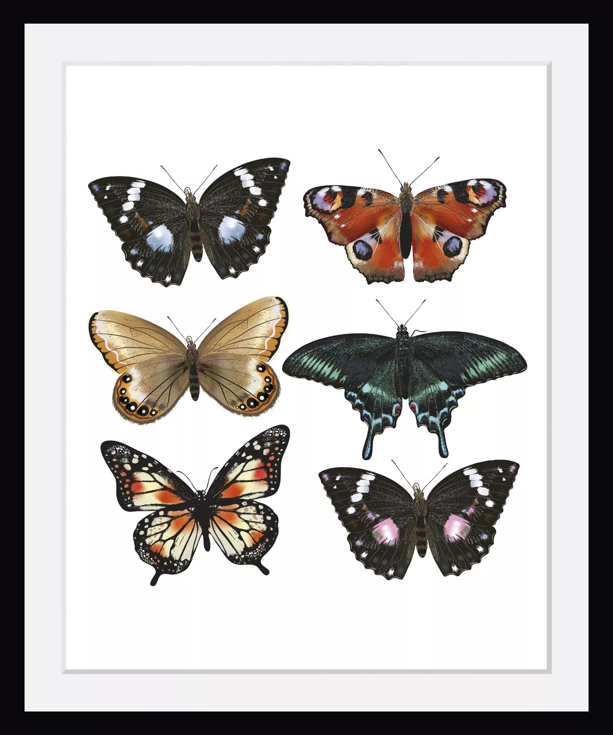 queence Bild »Jana«, Schmetterlinge, (1 St.) günstig online kaufen