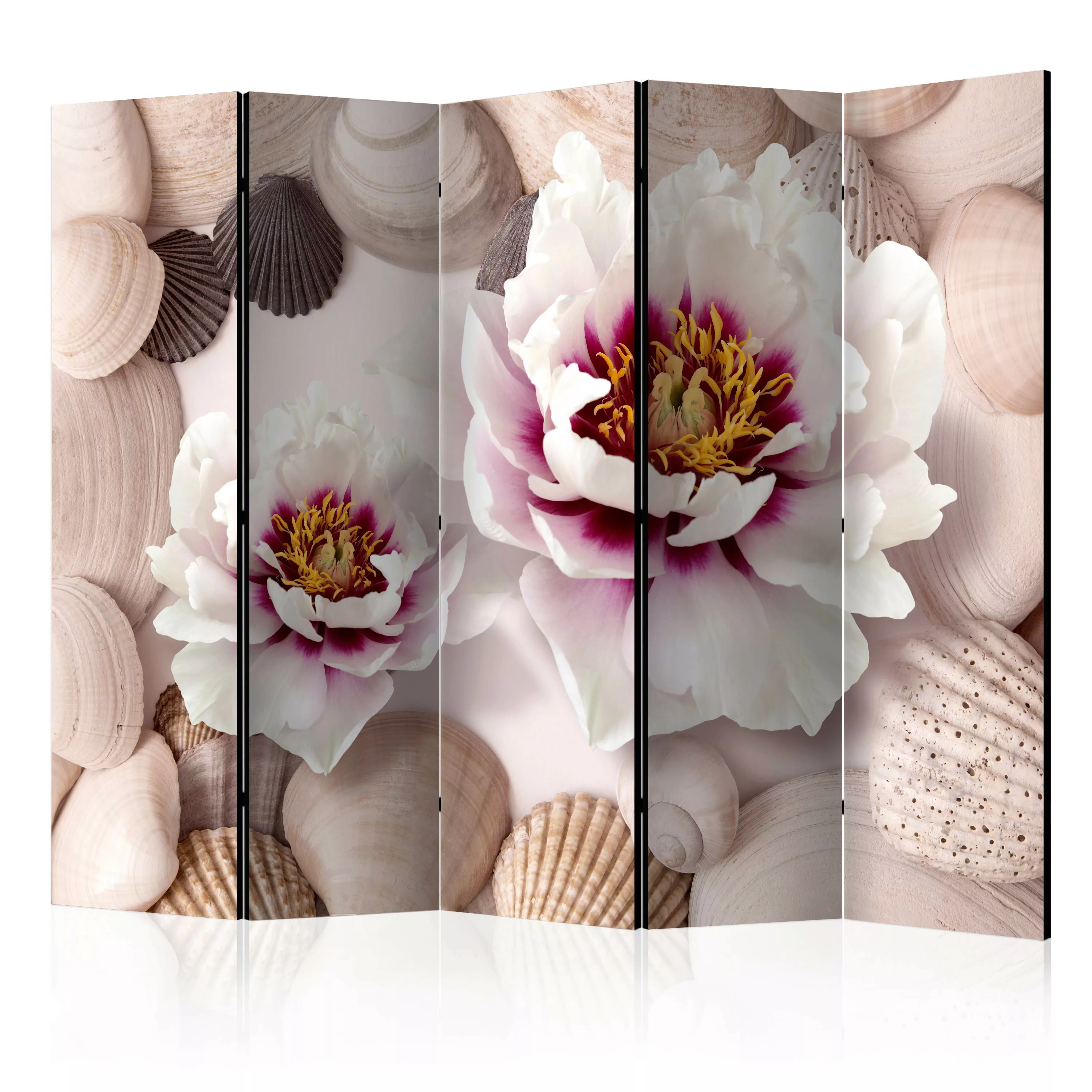 5-teiliges Paravent - Flowers And Shells Ii [room Dividers] günstig online kaufen