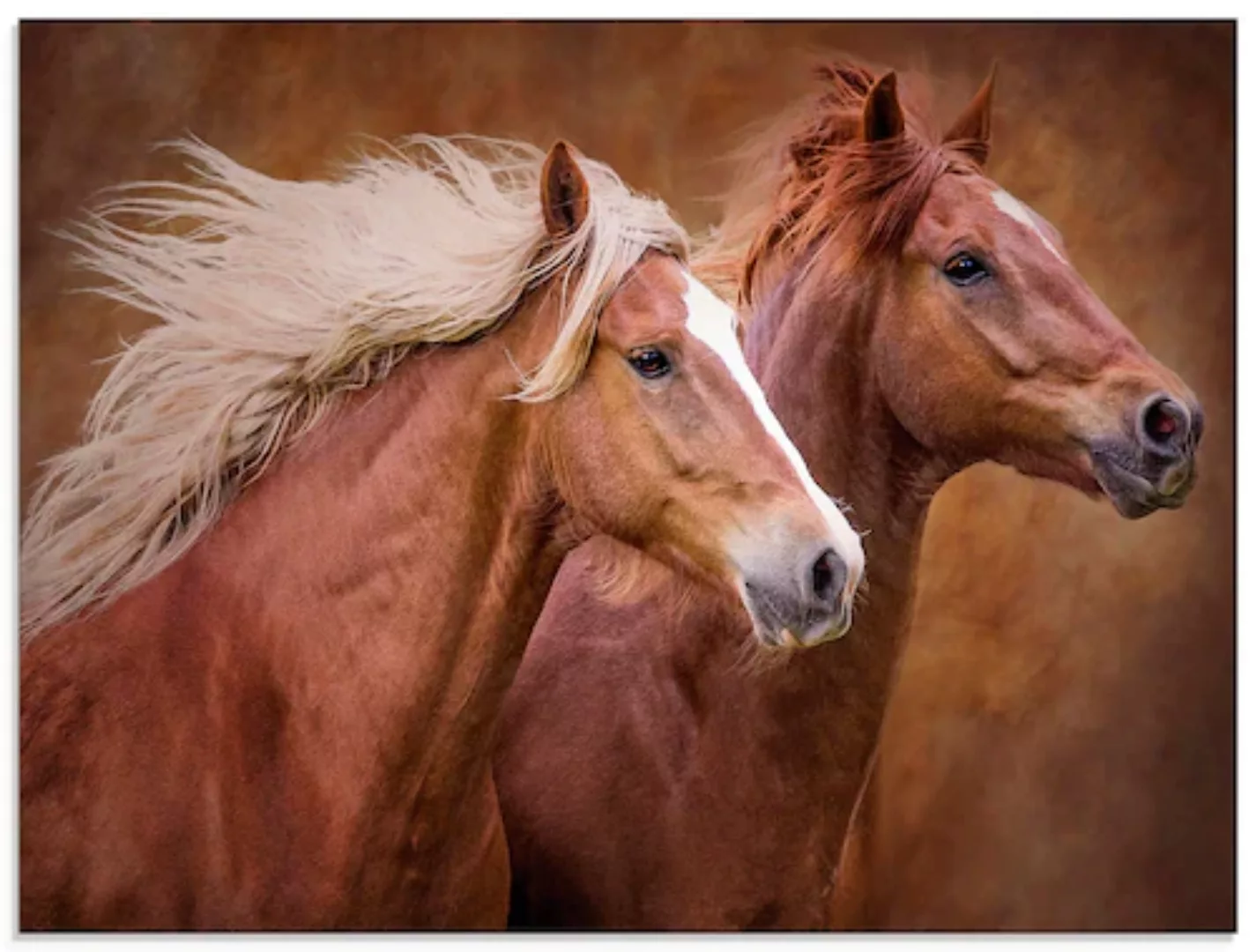 Artland Glasbild "Reinrassige Pferde I", Haustiere, (1 St.), in verschieden günstig online kaufen