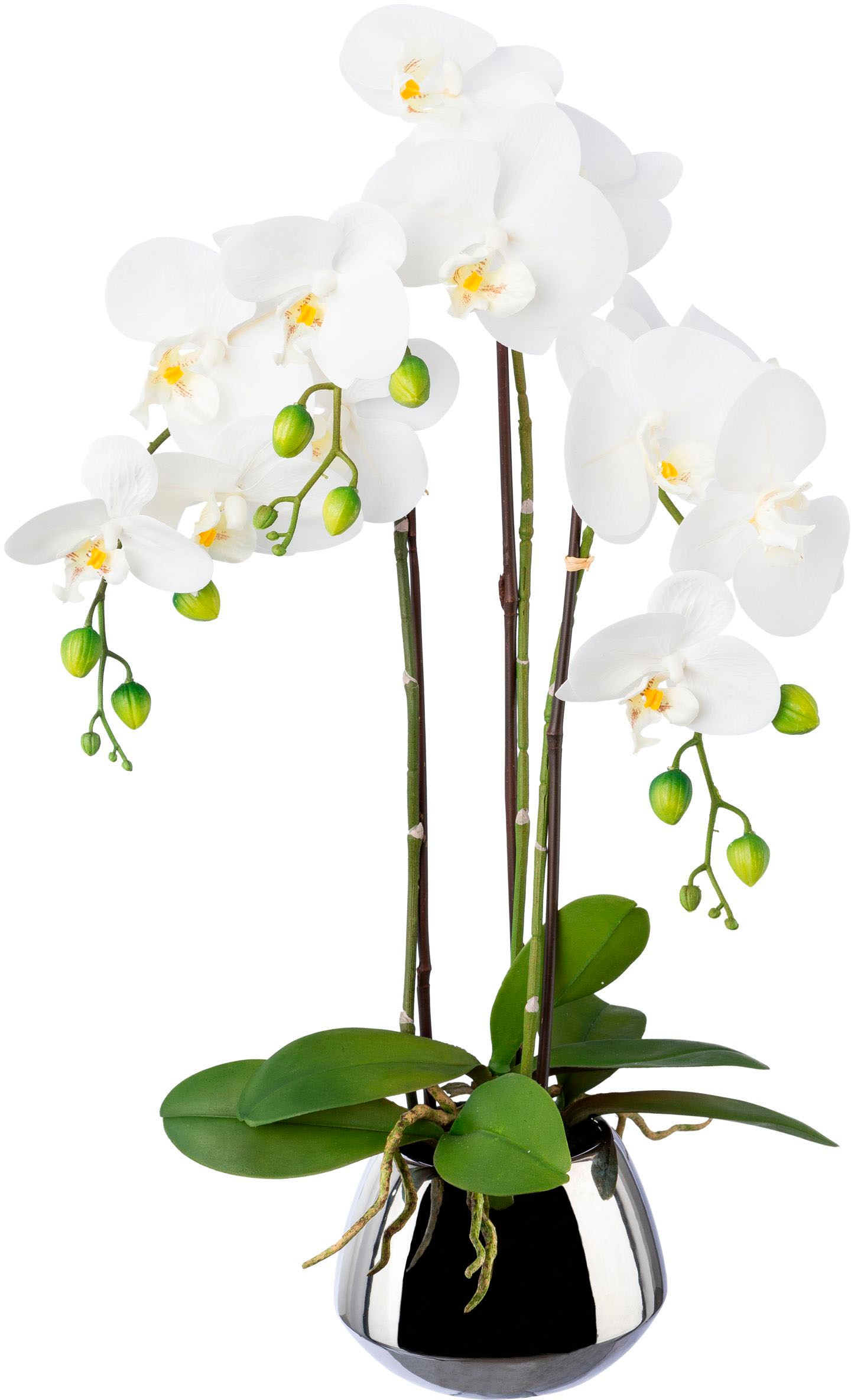 Creativ green Kunstorchidee "Phalaenopsis im Silbertopf", mit Real-Touch-Bl günstig online kaufen