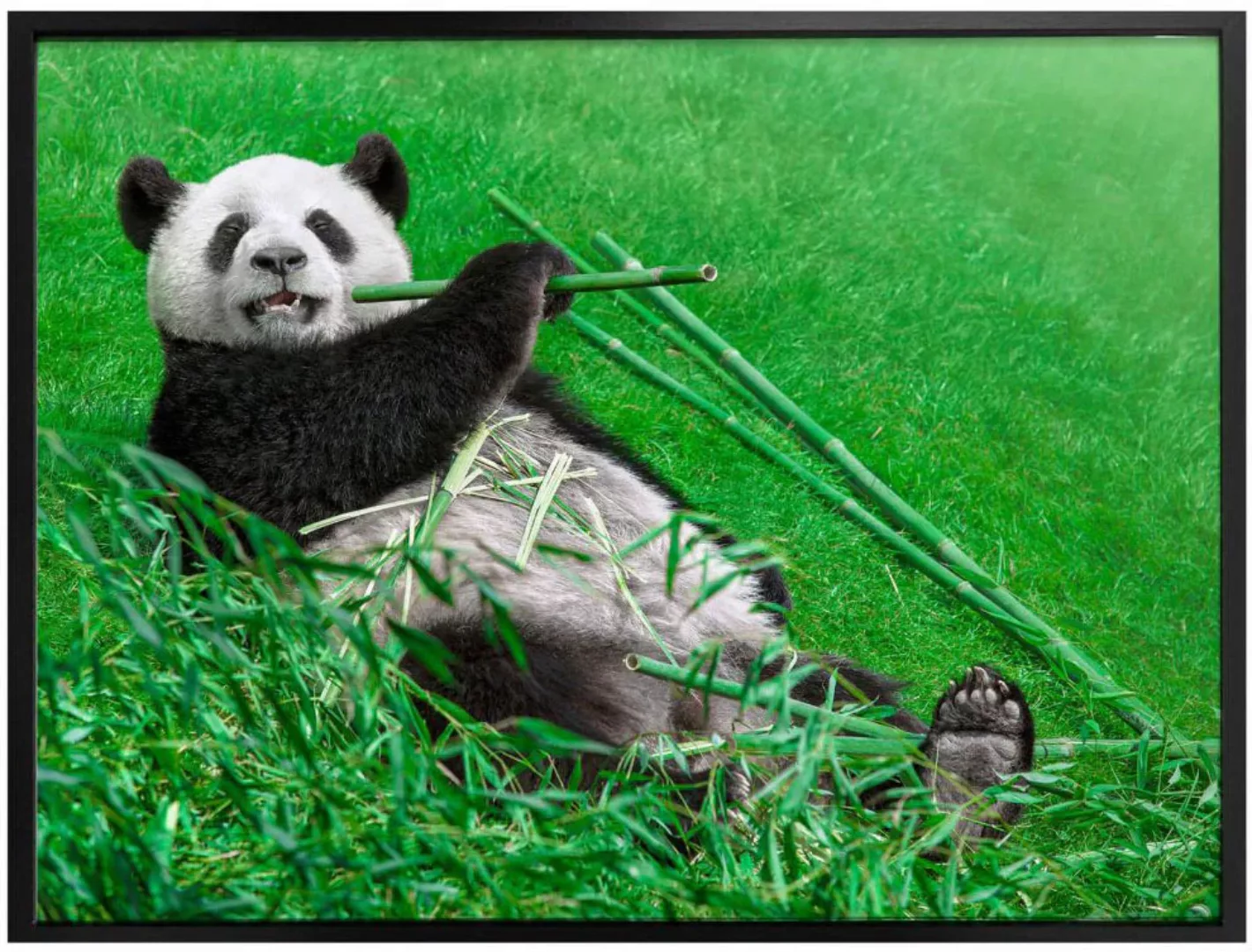 Wall-Art Poster "Waldtiere Bambus Panda", Tiere, (1 St.), Poster ohne Bilde günstig online kaufen