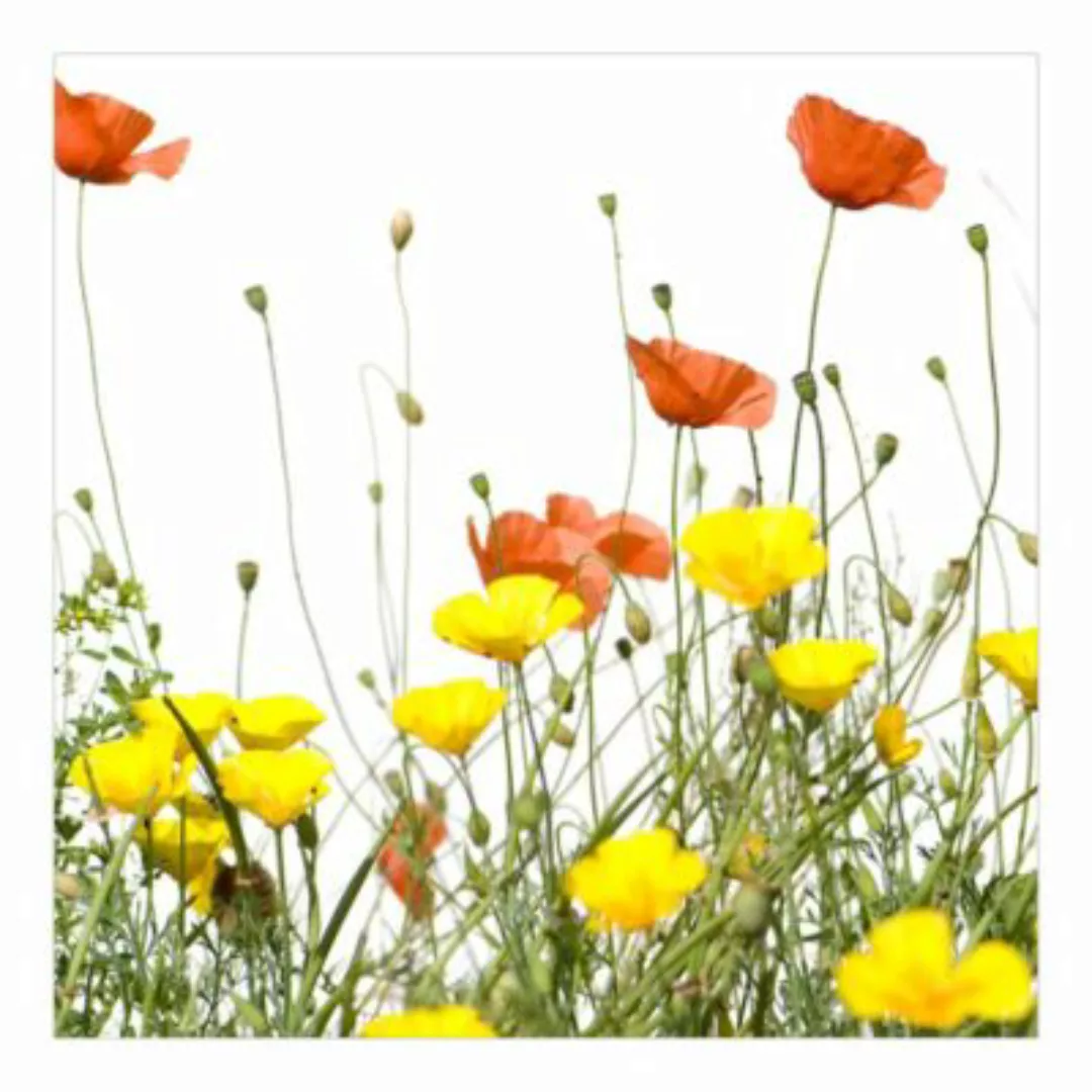 Bilderwelten Fototapete Duo of Flowers Teil 2 bunt Gr. 240 x 240 günstig online kaufen