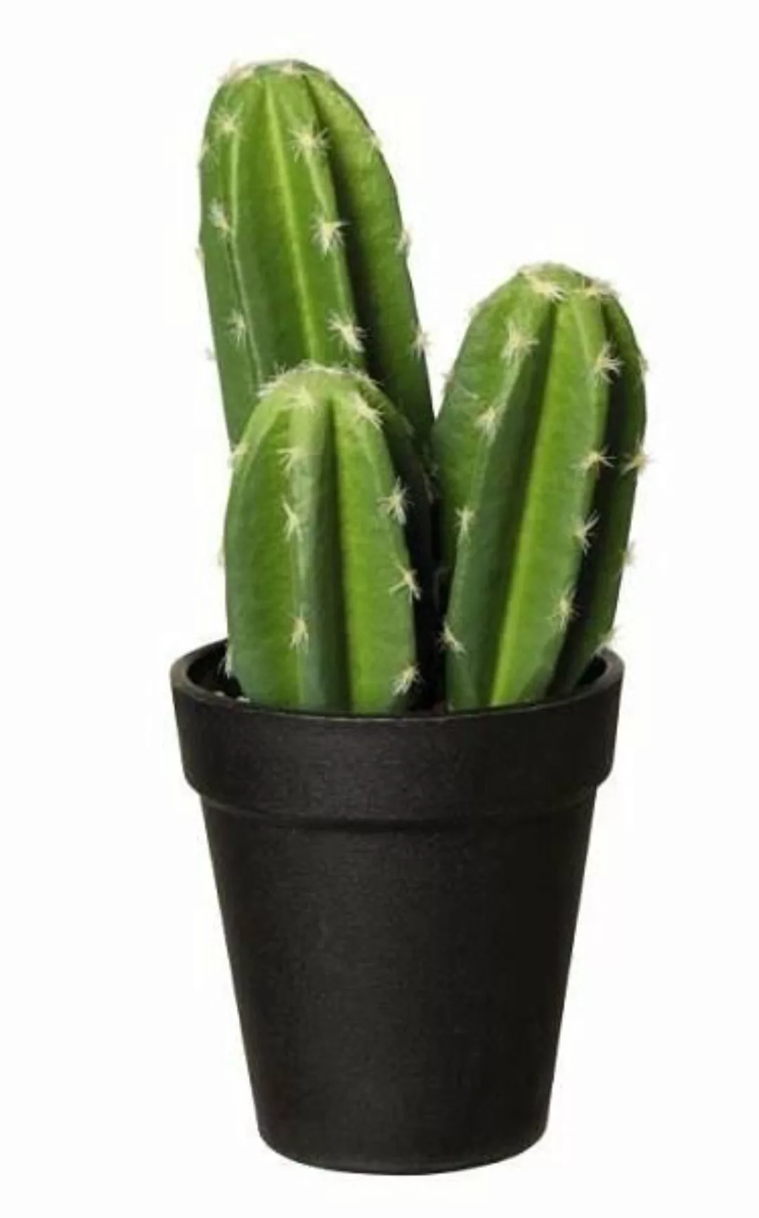 ASA Kunstpflanzen & -blumen Kaktus Caron Kandel im Topf grün 22 cm (grün) günstig online kaufen