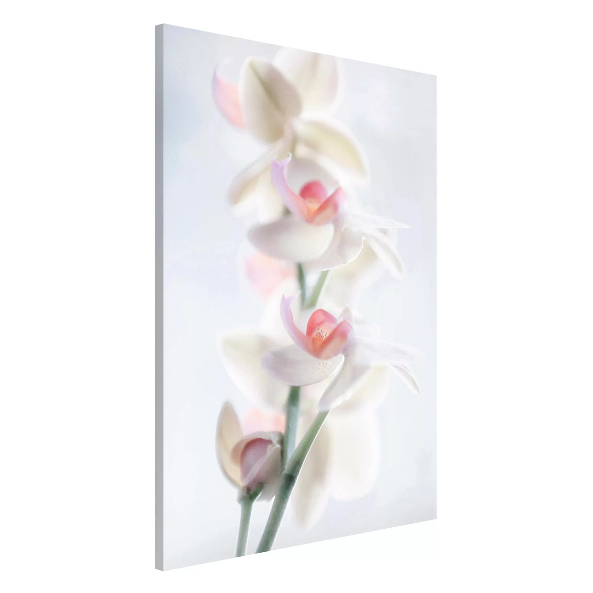 Magnettafel Blumen - Hochformat 2:3 Zerbrechliche Orchidee günstig online kaufen