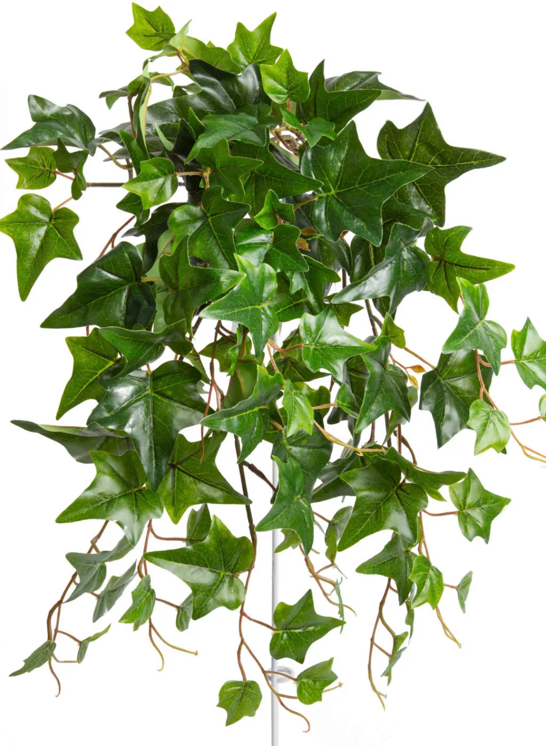 Botanic-Haus Künstliche Zimmerpflanze "Efeu-Hängebusch mit 10 Stielen" günstig online kaufen
