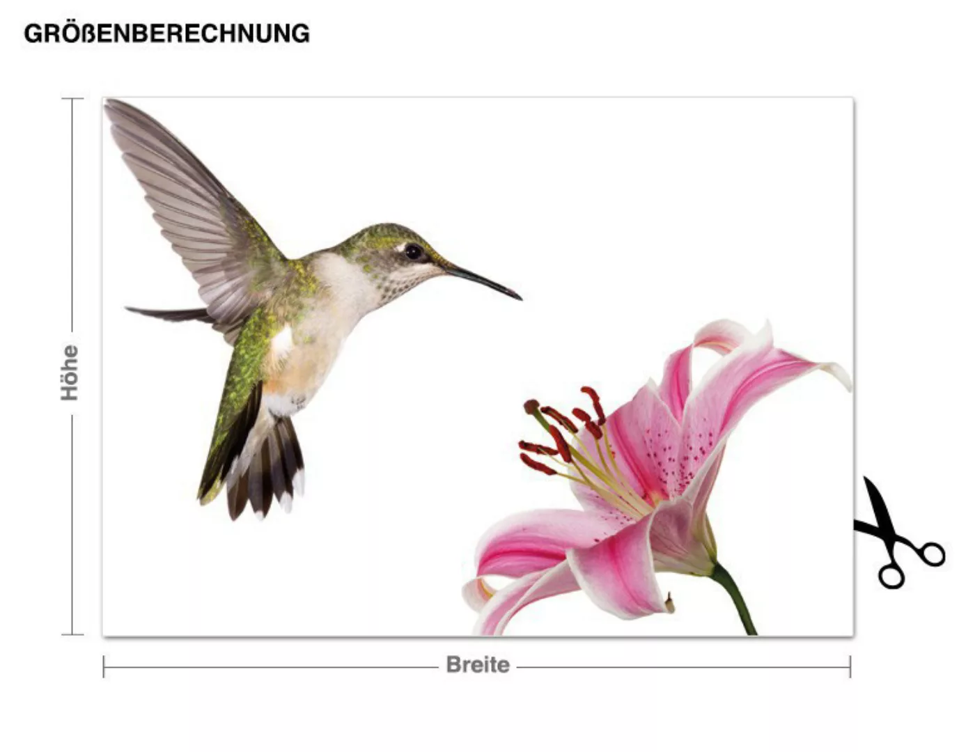 Wandtattoo Tiere Kolibri mit Blume günstig online kaufen