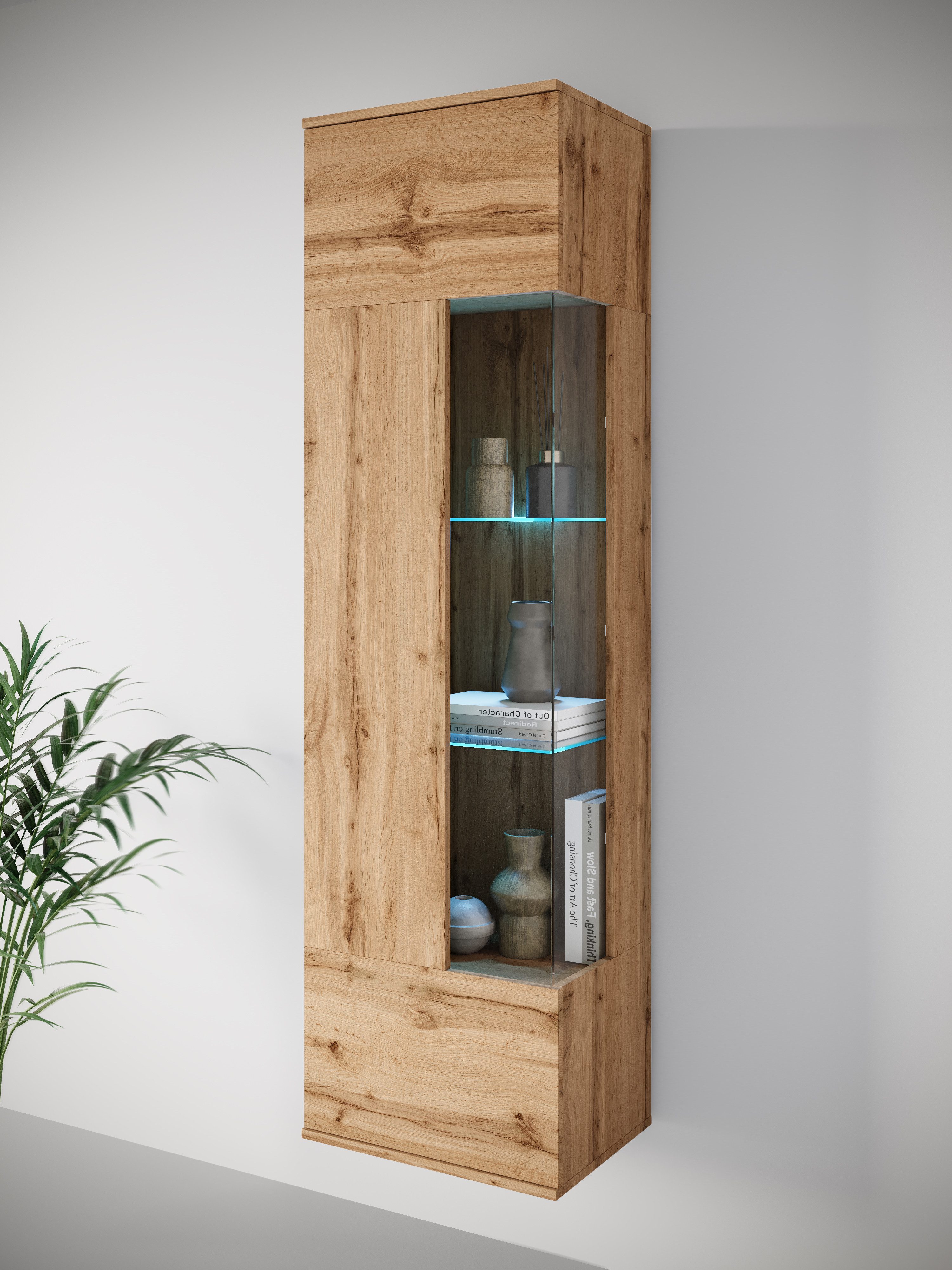 INOSIGN Vitrine "Kenia, stehend und hängend, Türanschlag wechselbar", (1 St günstig online kaufen
