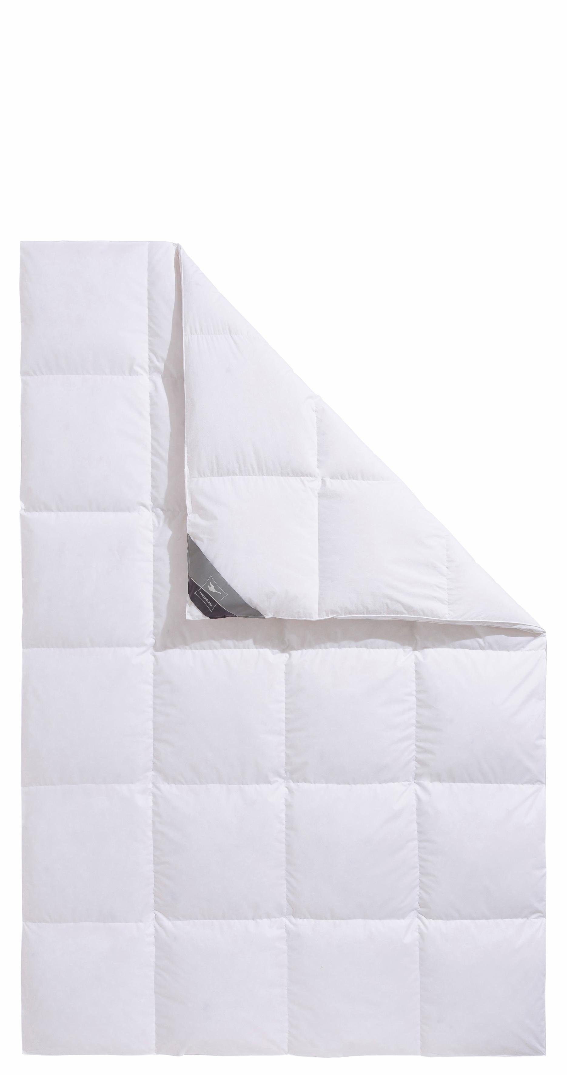 Haeussling Daunenbettdecke + Kopfkissen Kuscheltraum günstig online kaufen