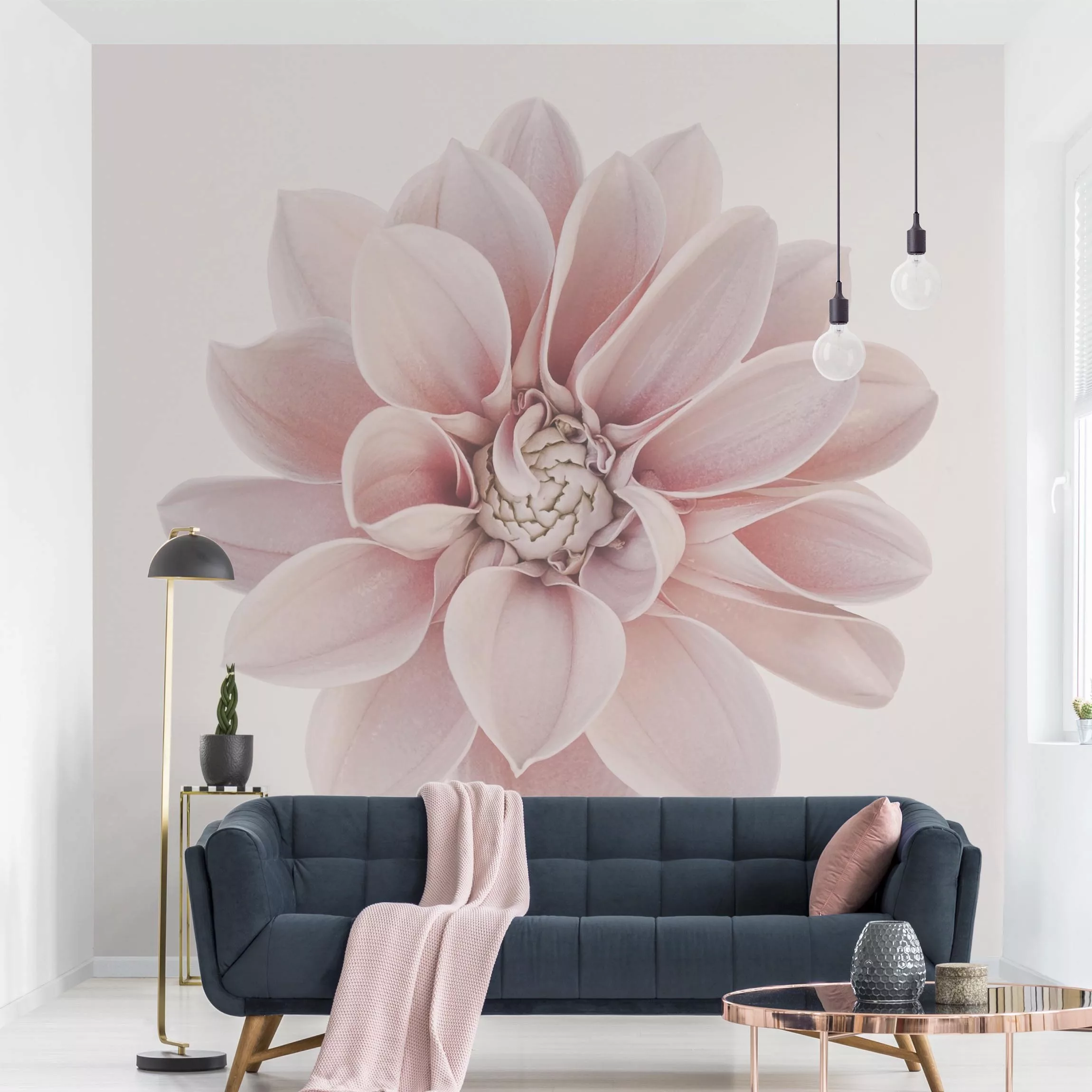 Fototapete Dahlie Blume Pastell Weiß Rosa günstig online kaufen