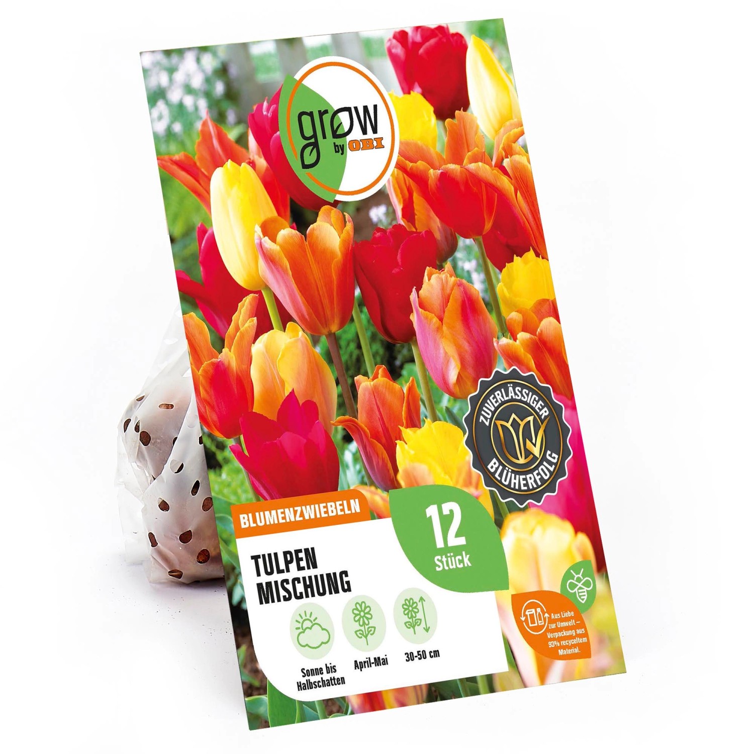 GROW by OBI Tulpen Mischung Nr. 2 / 12 Stück Tulipa mix günstig online kaufen