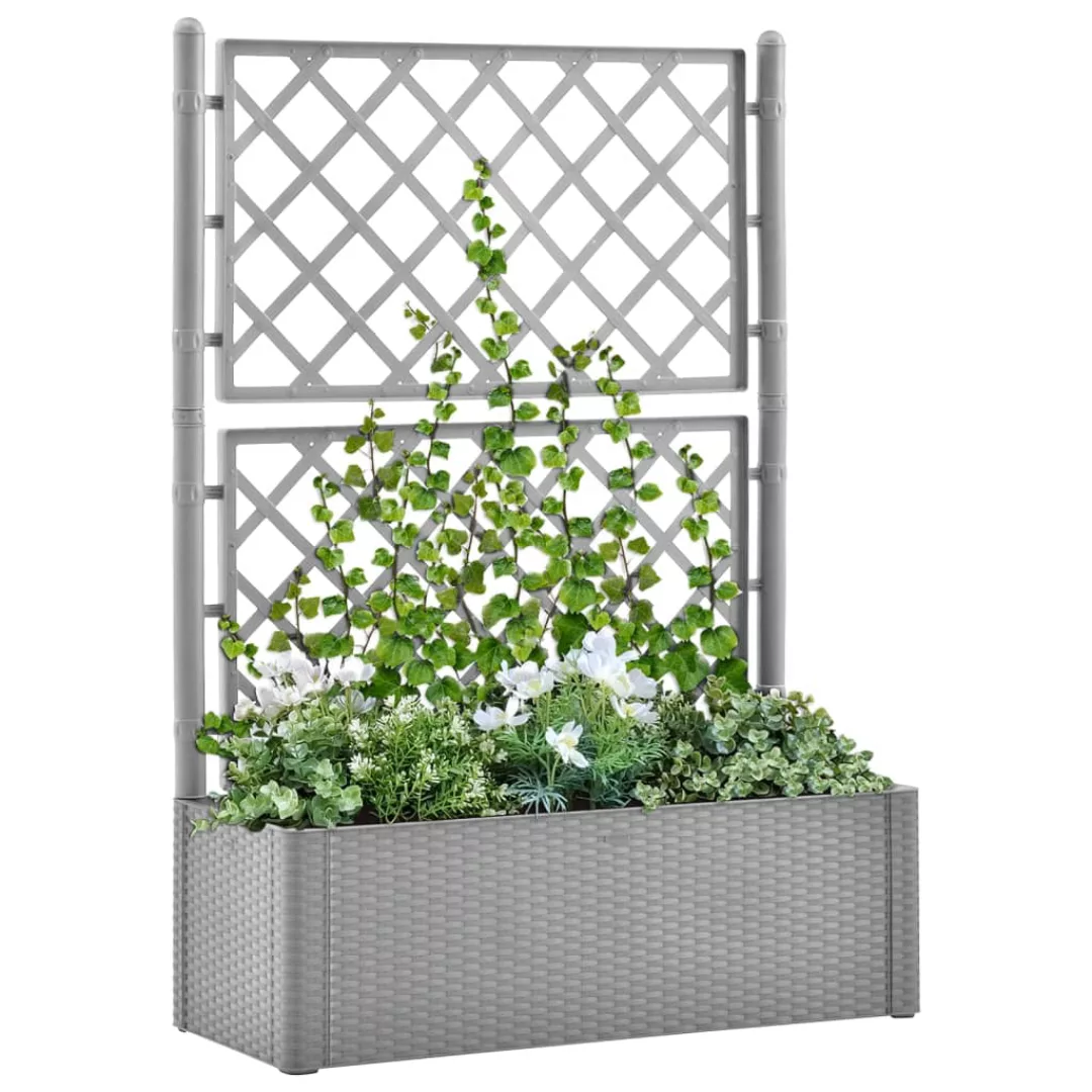 Garten-hochbeet Mit Spalier Und Selbstbewesserungssystem Grau günstig online kaufen