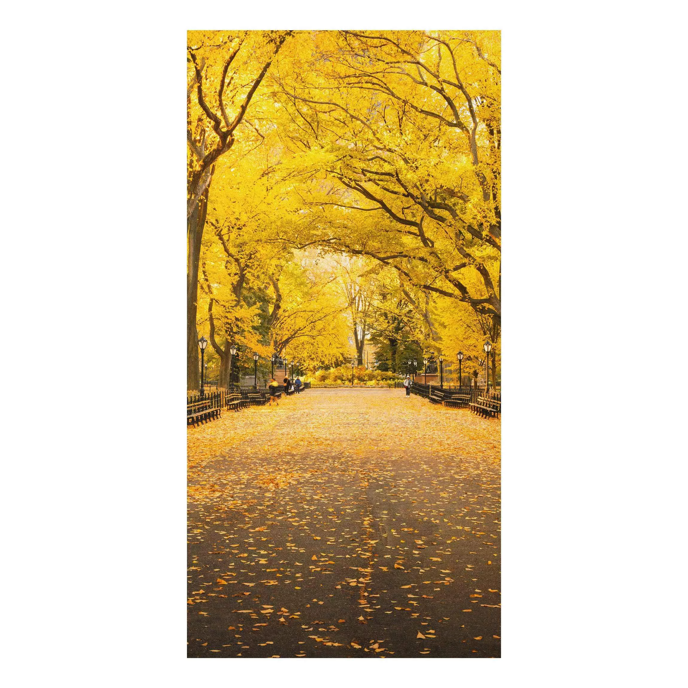 Alu-Dibond Bild Herbst im Central Park günstig online kaufen