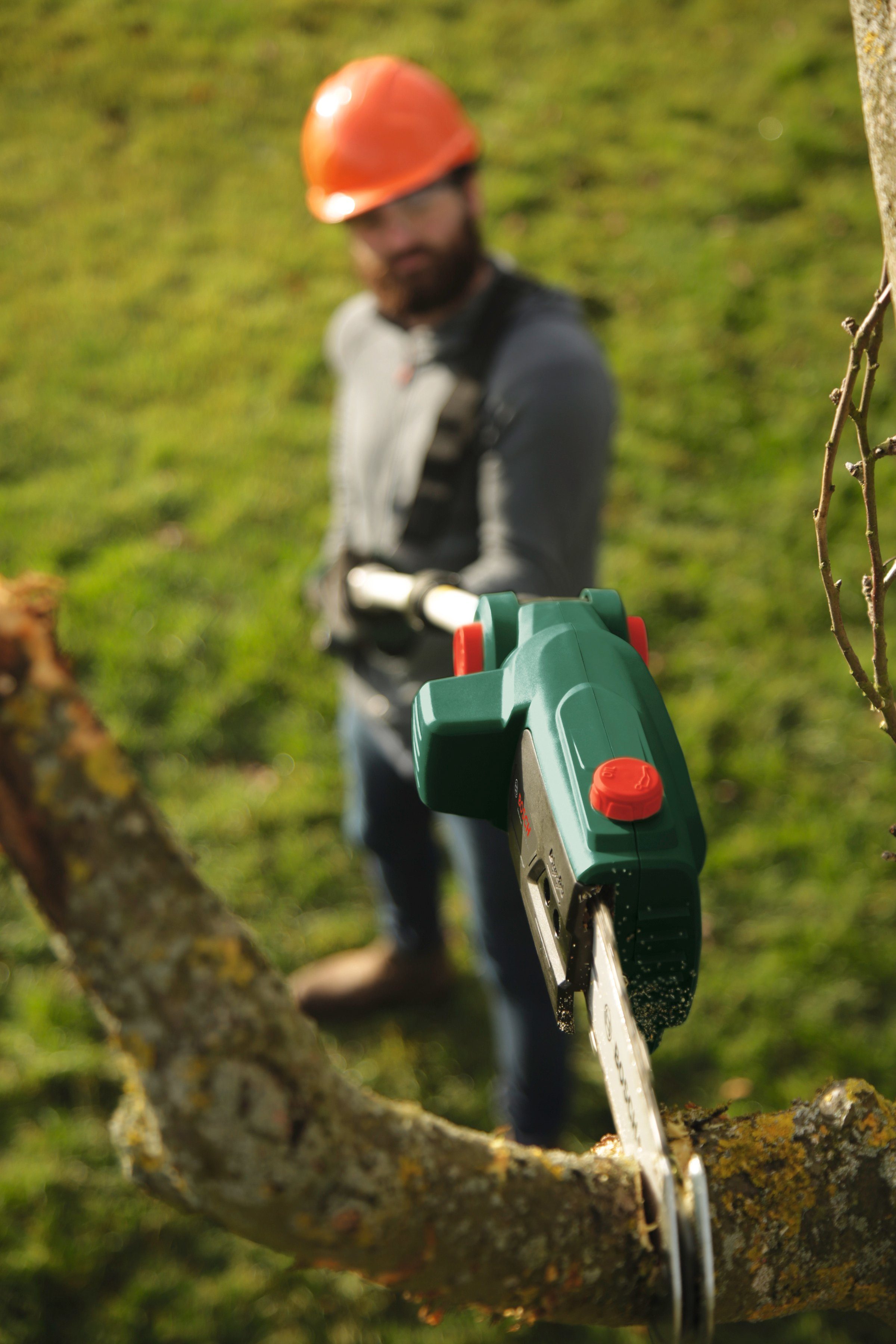 Bosch Akku Teleskop-Kettensäge UniversalChainPole 18 Solo günstig online kaufen