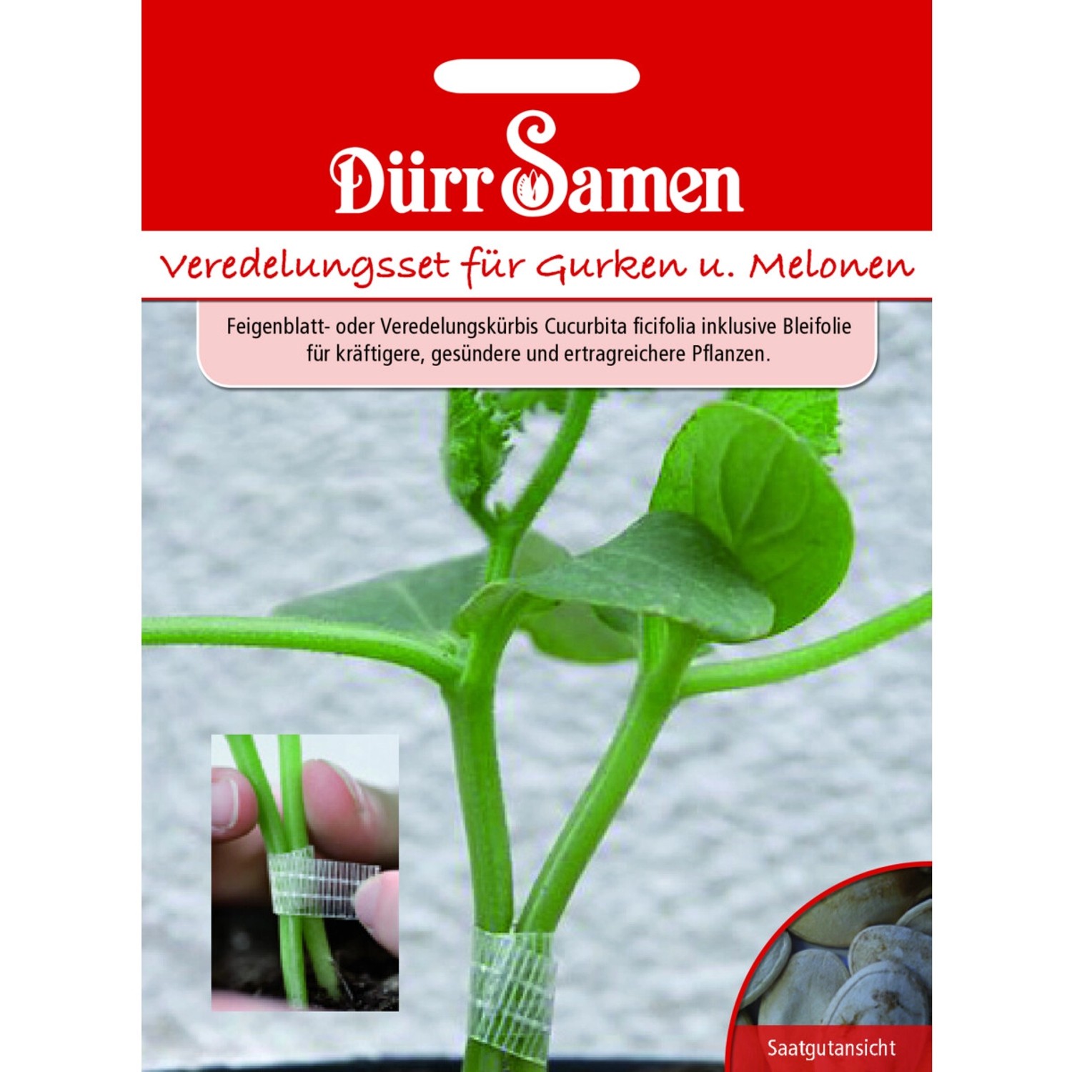 Dürr Samen Veredelungs-Set Für Gurken Und Melonen Saatgut günstig online kaufen
