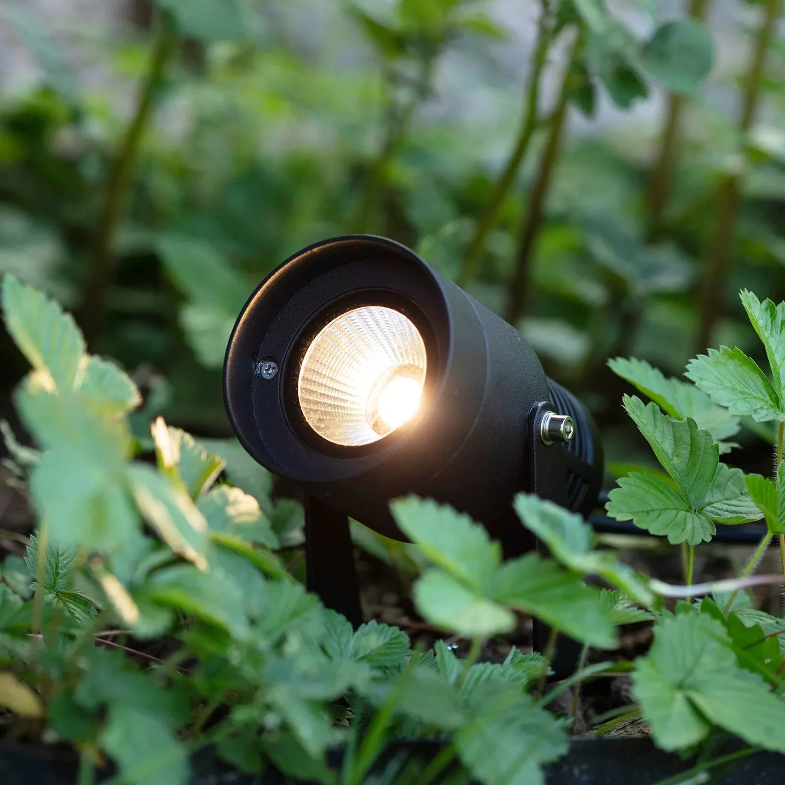 Garden 24 LED-Spotlight, schwarz, 6 Watt günstig online kaufen