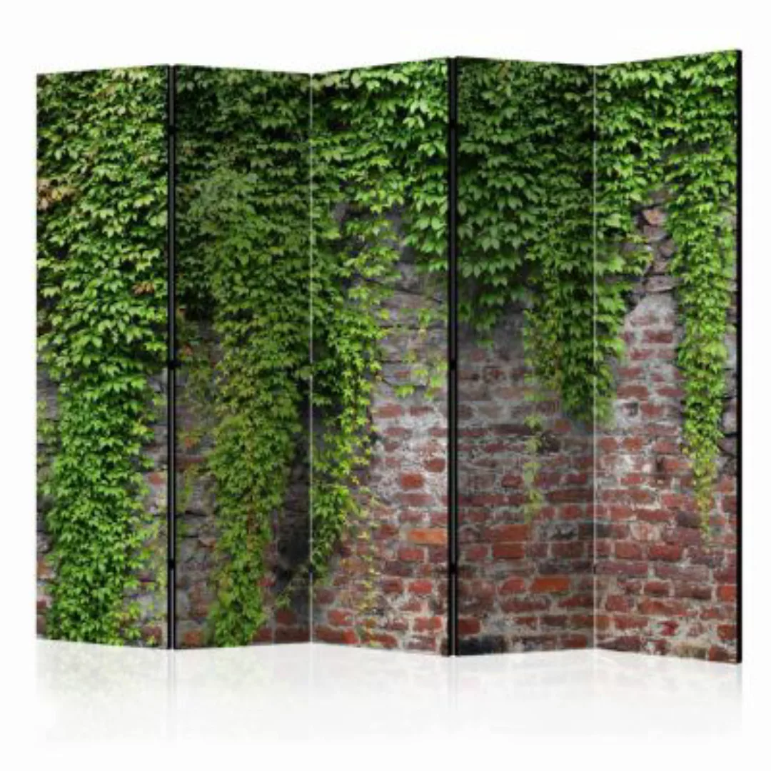 artgeist Paravent Brick and ivy II [Room Dividers] rot/grün Gr. 225 x 172 günstig online kaufen
