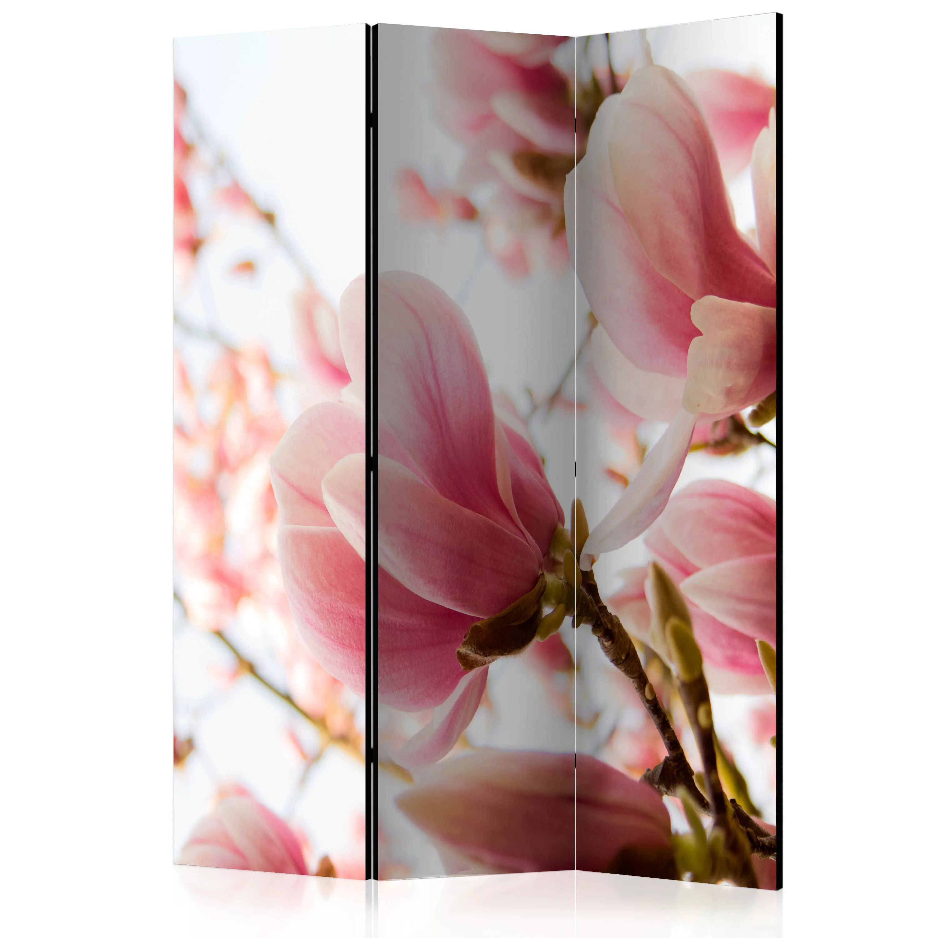 3-teiliges Paravent - Pink Magnolia [room Dividers] günstig online kaufen