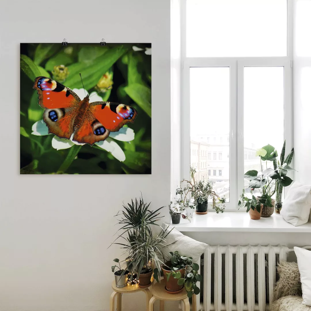 Artland Wandbild "Tagpfauenauge", Insekten, (1 St.), als Leinwandbild, Post günstig online kaufen
