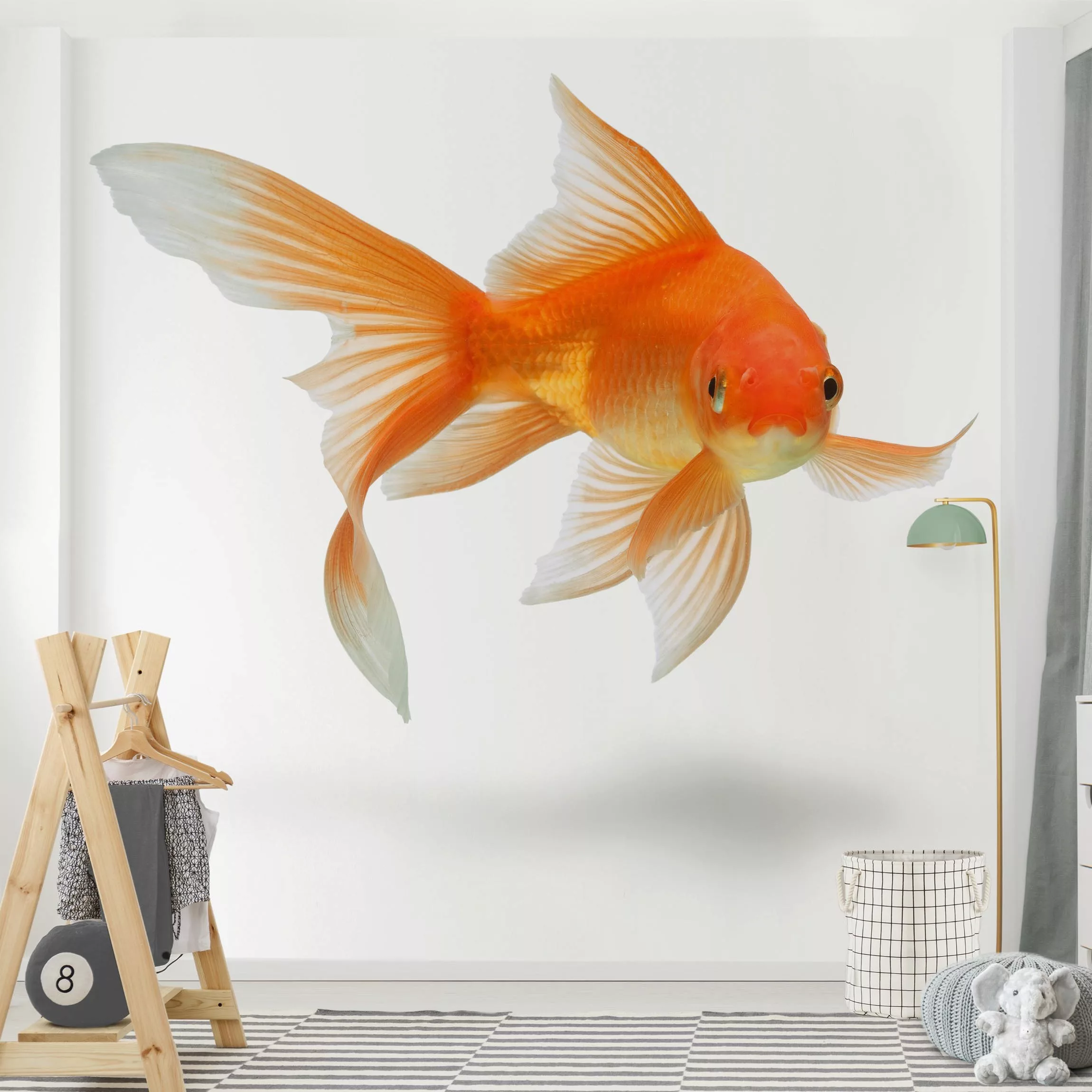 Fototapete Goldfish is Watching you günstig online kaufen