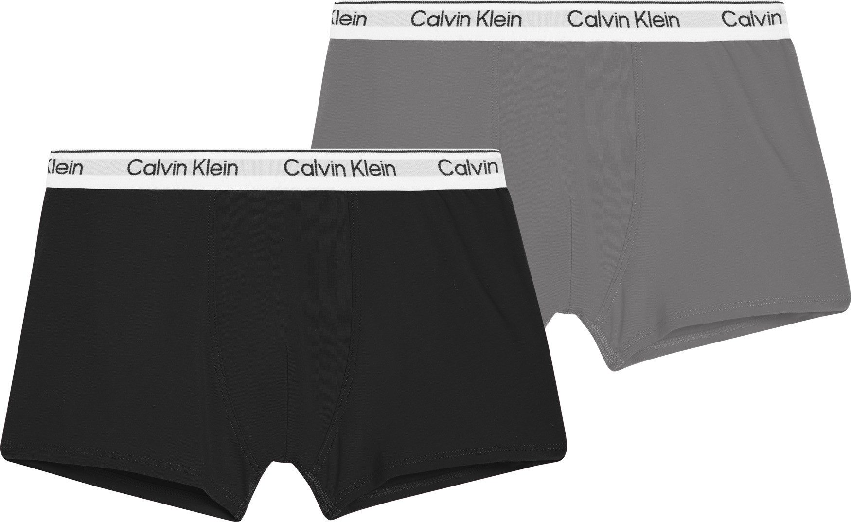 Calvin Klein Underwear Trunk 2PK TRUNK günstig online kaufen