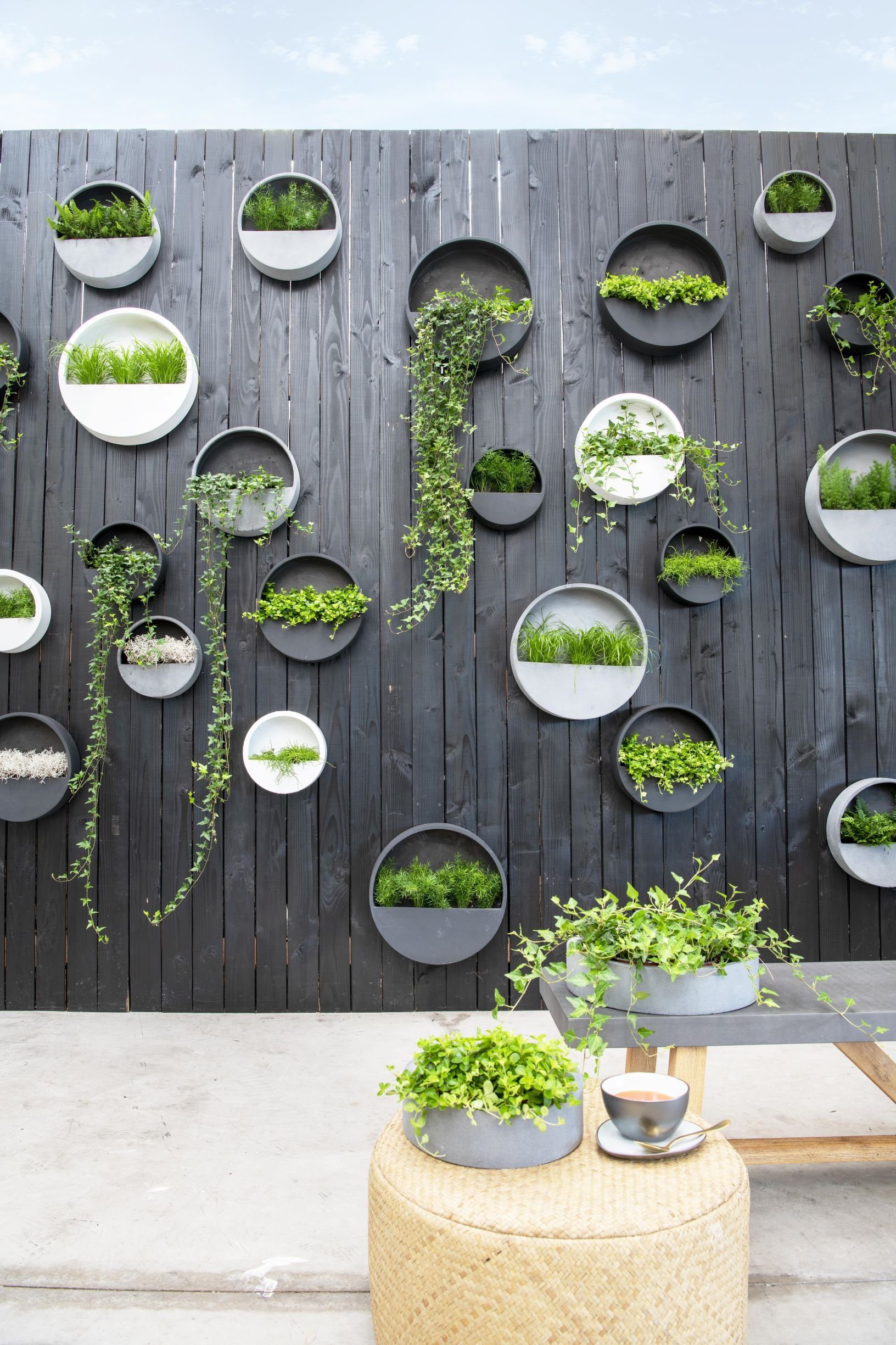 finestgreen Pflanzkübel Hanging Wally Wandgefäß, aus günstig online kaufen