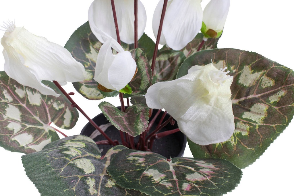 Botanic-Haus Kunstblume "Alpenveilchen" günstig online kaufen