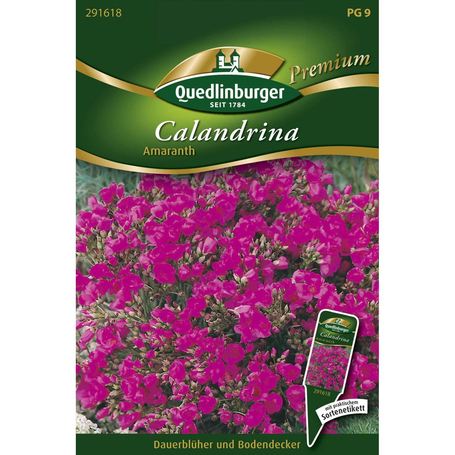 Quedlinburger Calandrina Amaranth günstig online kaufen