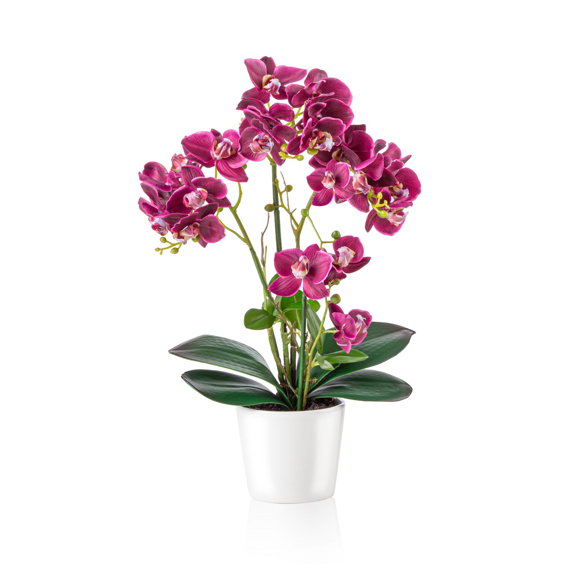 Kunstorchidee PASCH® Orchidee künstlich wie echt günstig online kaufen