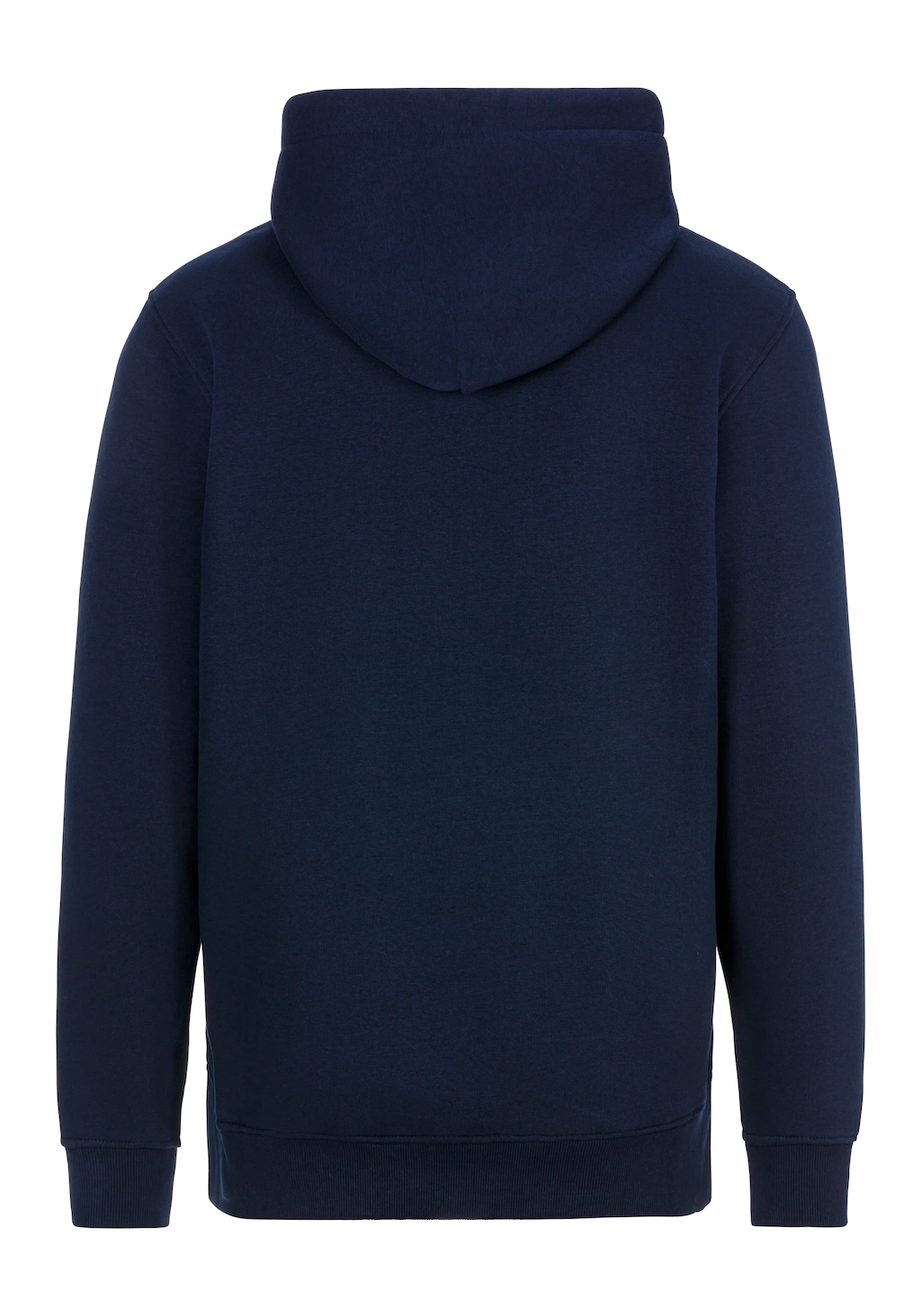 Tommy Jeans Sweatshirt TJM REG ESSENTIAL FLAG HOOD EXT mit bedruckten Marke günstig online kaufen