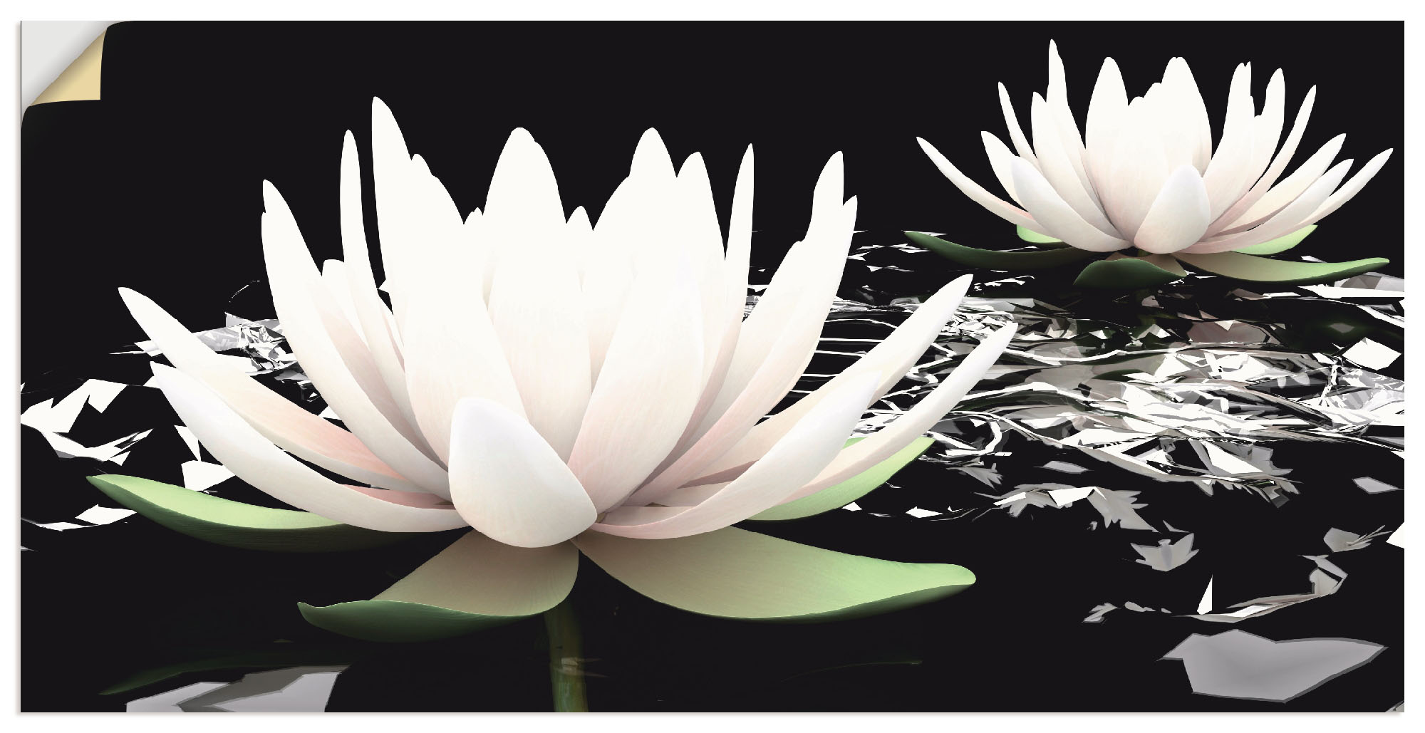 Artland Wandbild "Zwei Lotusblumen auf dem Wasser", Blumen, (1 St.), als Al günstig online kaufen